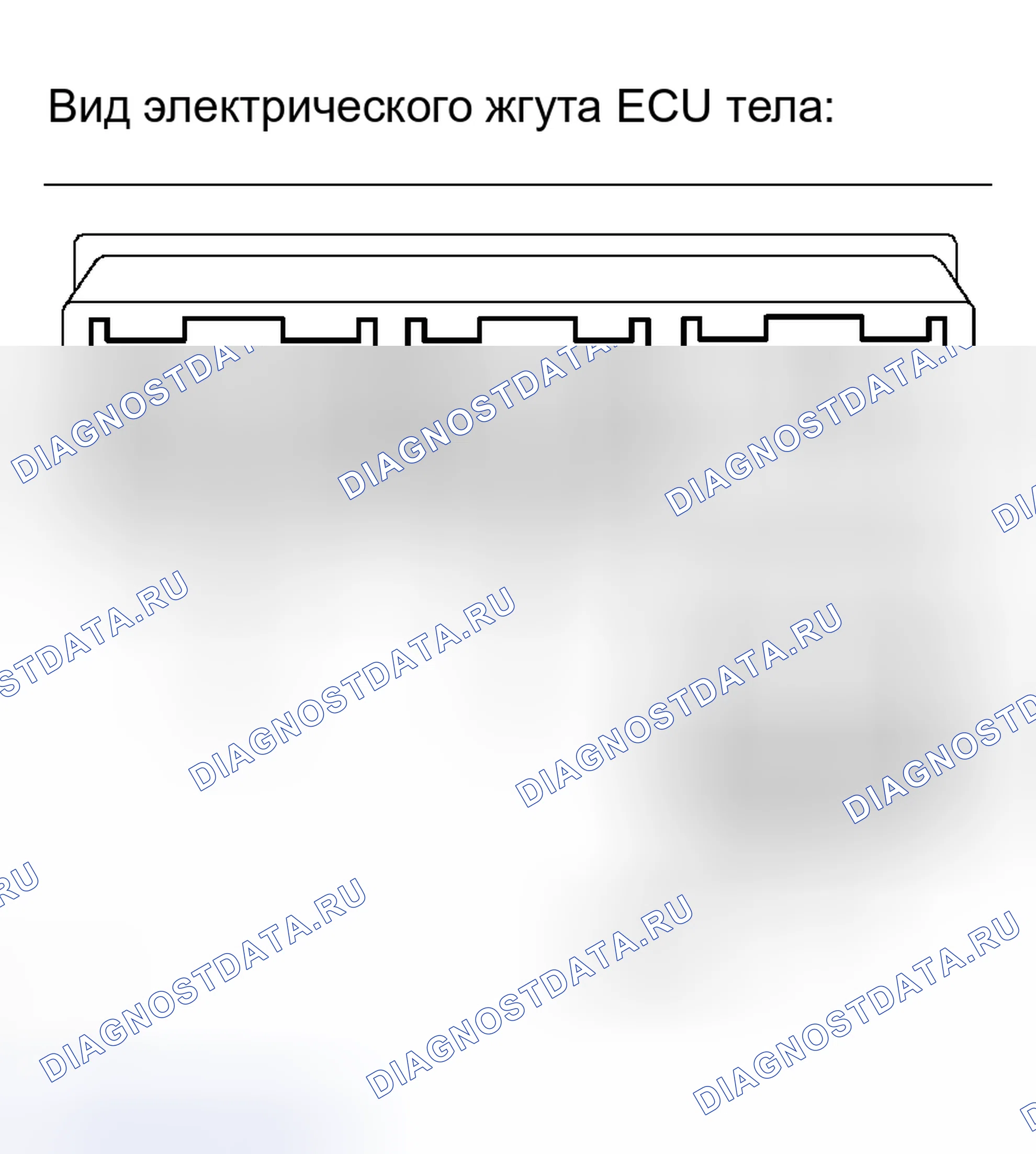 Рис. 29. Toyota Sequoia I рестайлинг