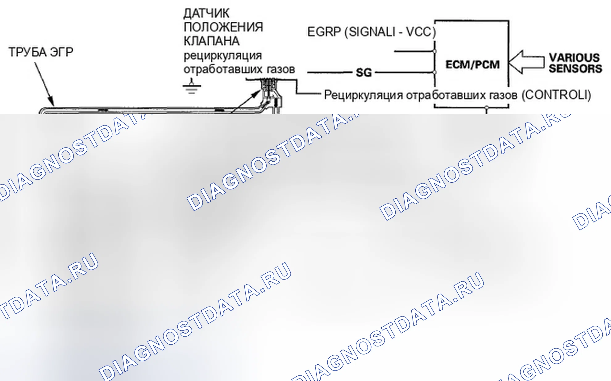 Рис. 53: Схема системы рециркуляции отработавших газов (рециркуляция отработавших газов). Honda Fit GE