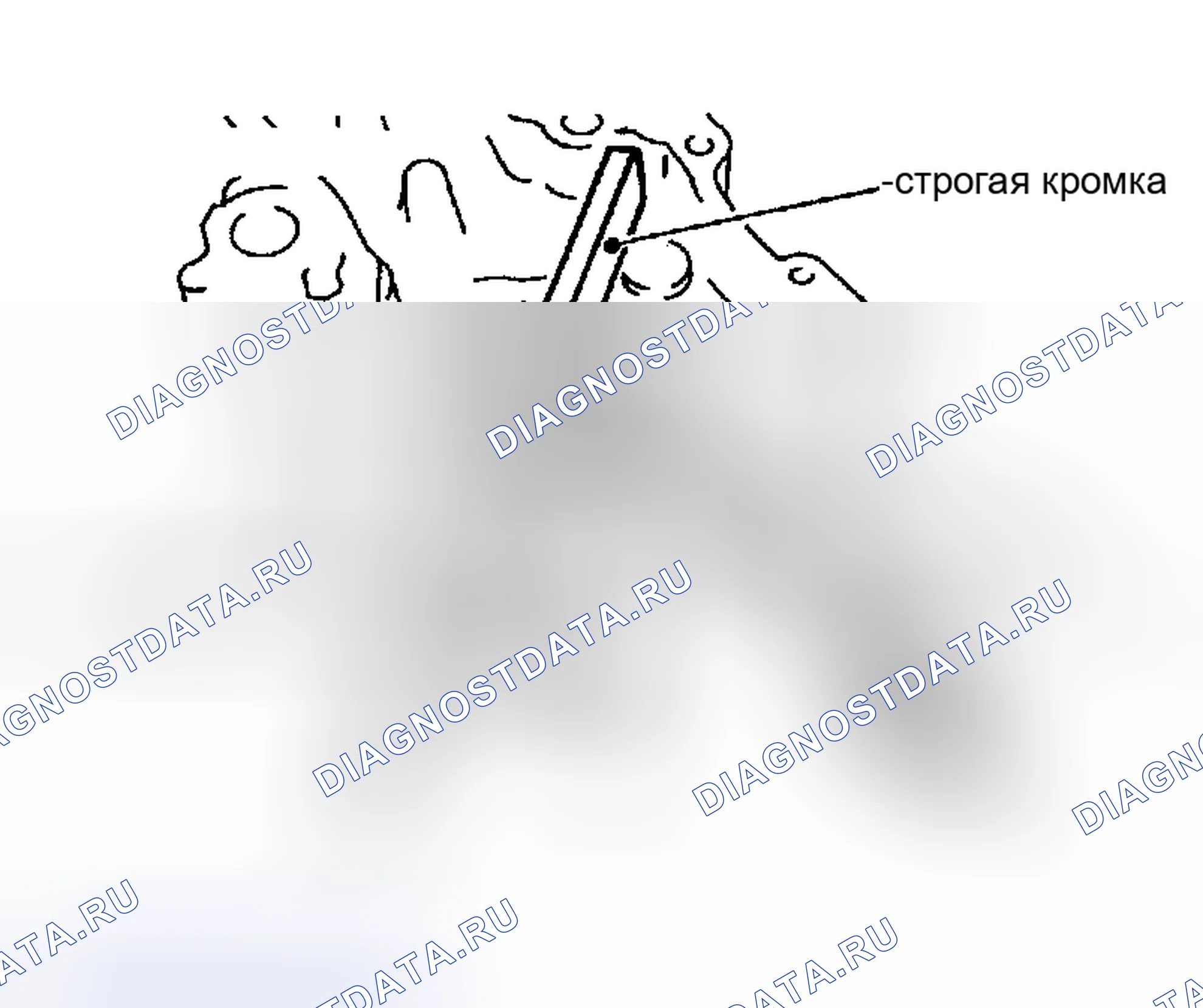 Рис. 12. Nissan Sentra B15