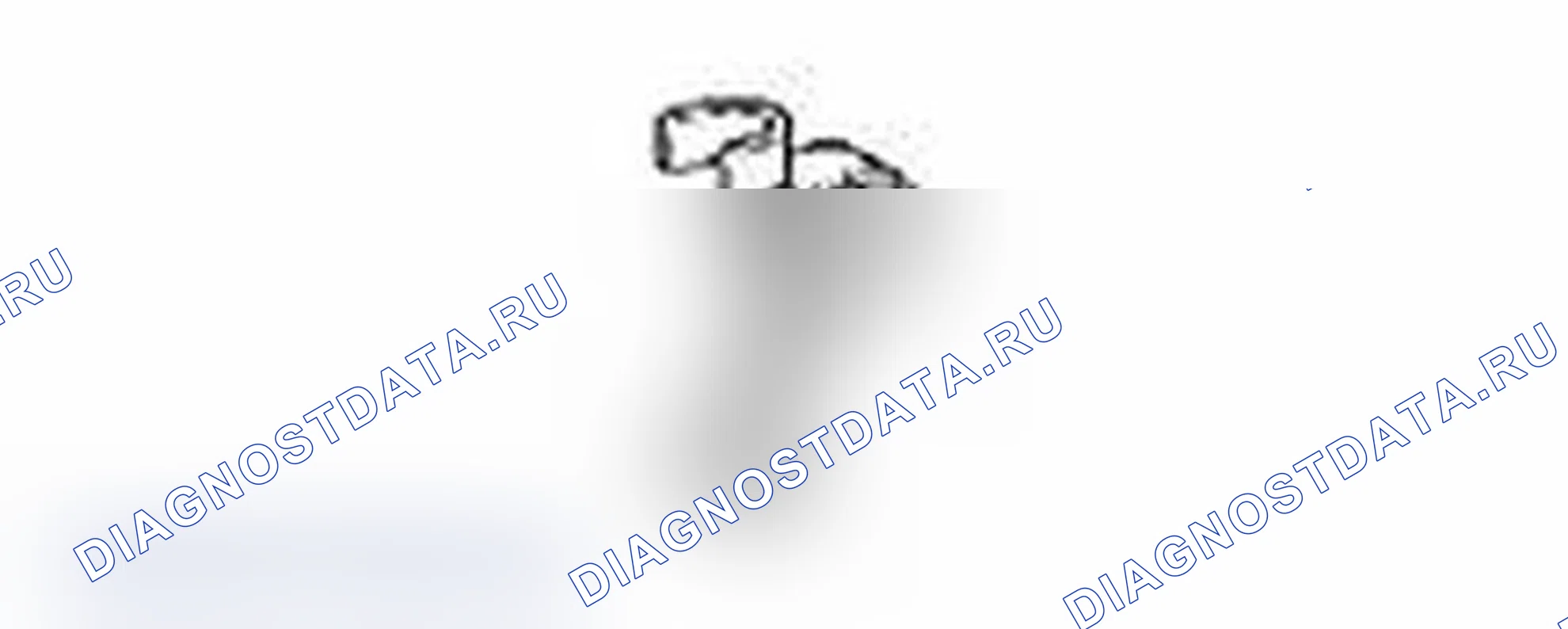 Рис. 4. Lexus IS F I