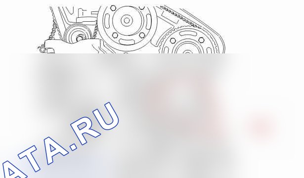 Снятие - установка: ремень ГРМ — b1ek0xyd. Peugeot 406 I
