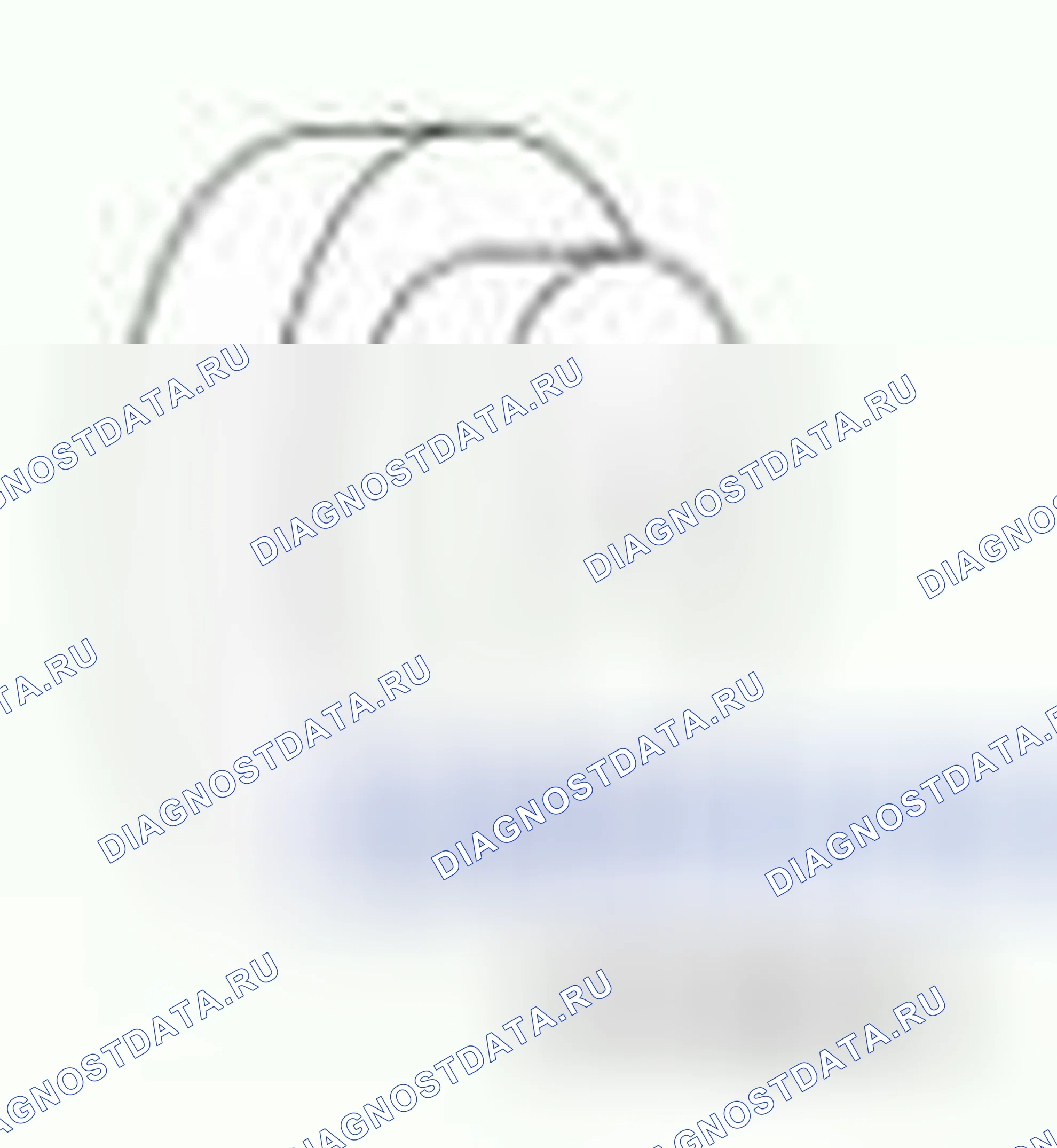 Рис. 246. Ford Pickup F250 Super Duty II