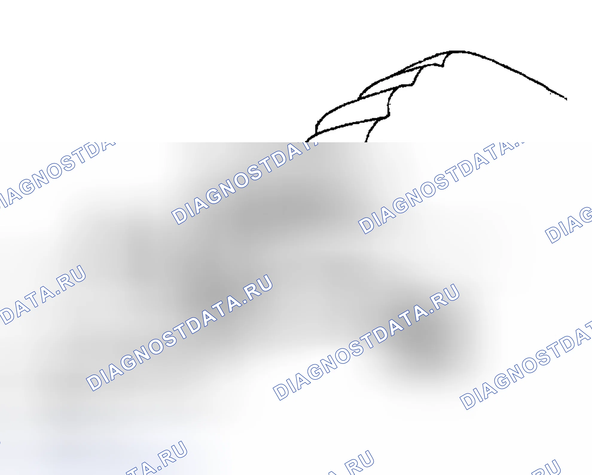 Рис. 185. Toyota Sequoia I