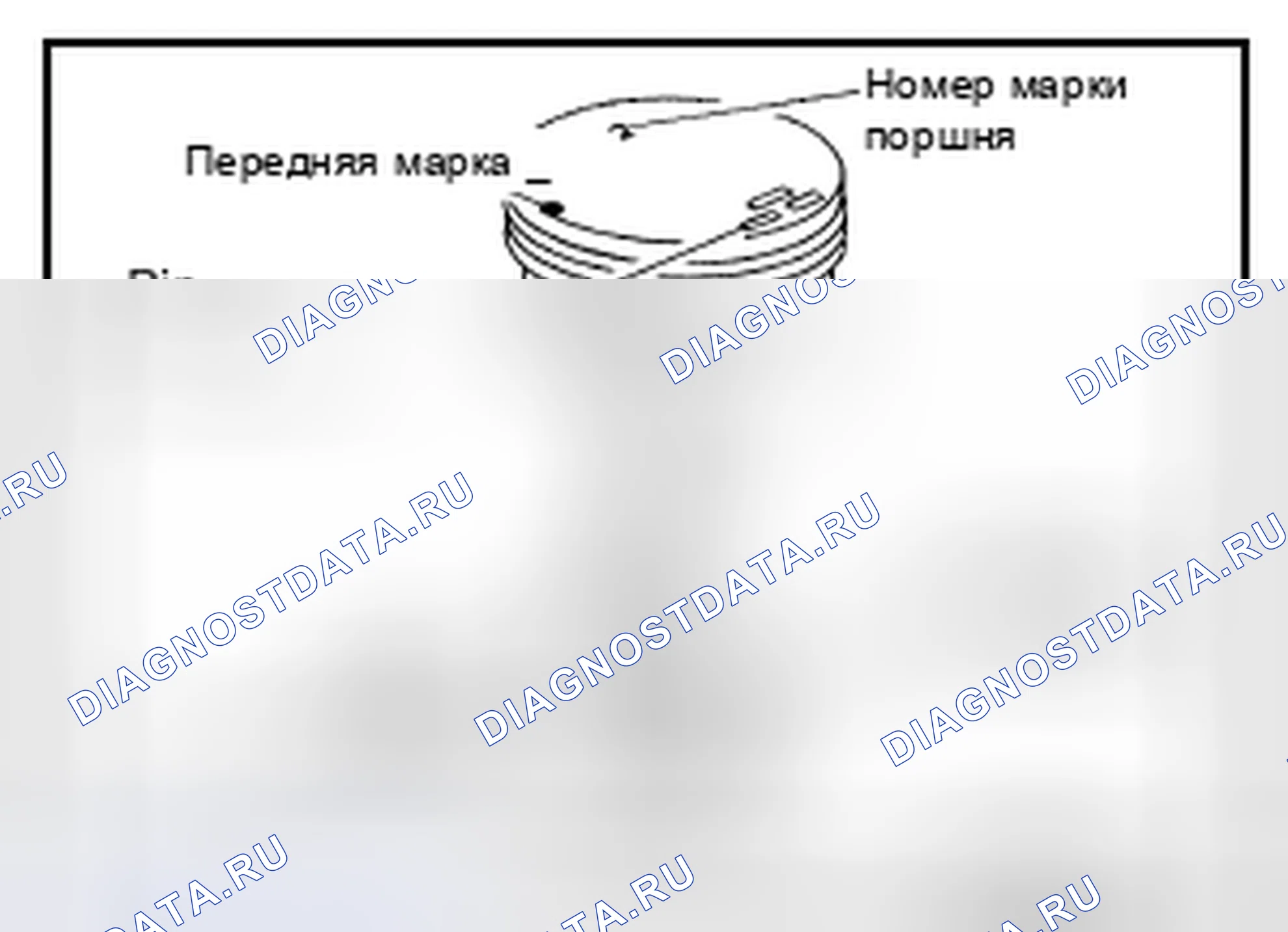 Рис. 217. Nissan Murano Z51 рестайлинг 2