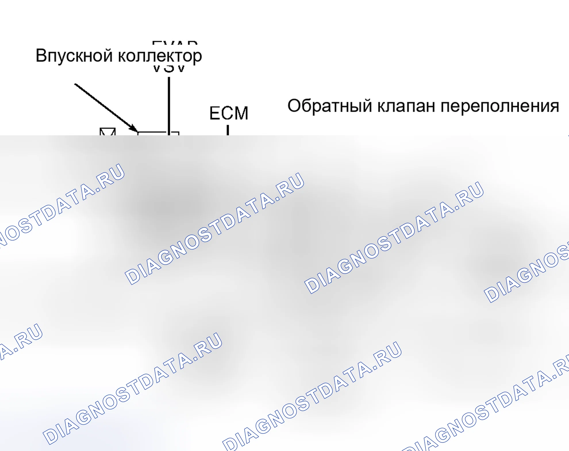Рис. 35: Avalon, Camry, Camry Solara, Celica и Corolla. Toyota 4Runner III