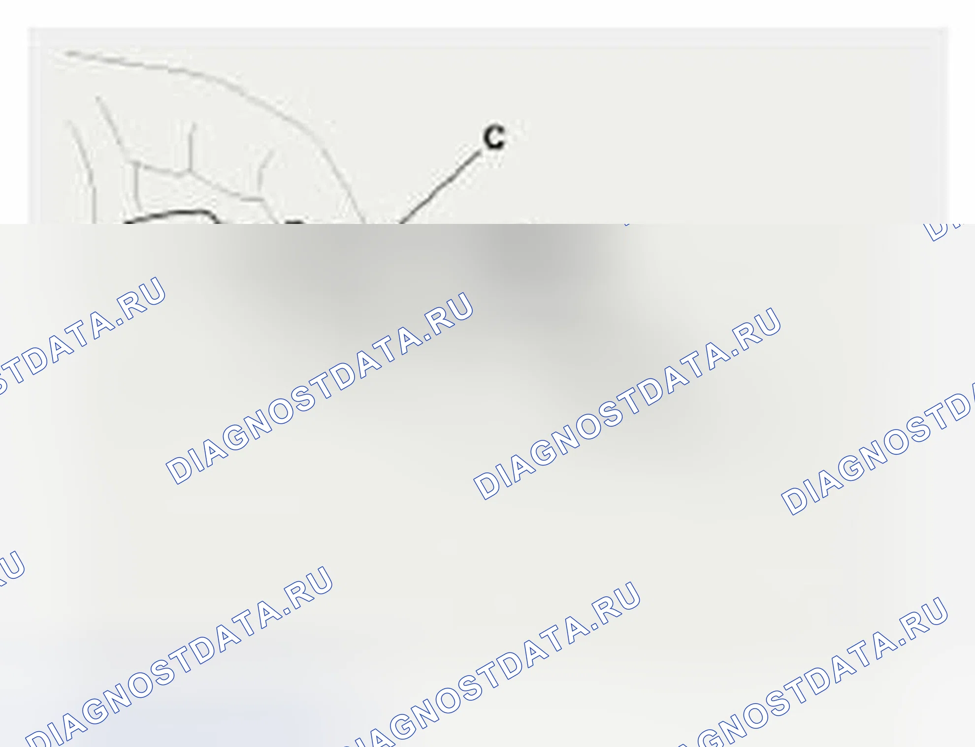 Рис. 72: Подключение. Hyundai Veloster I