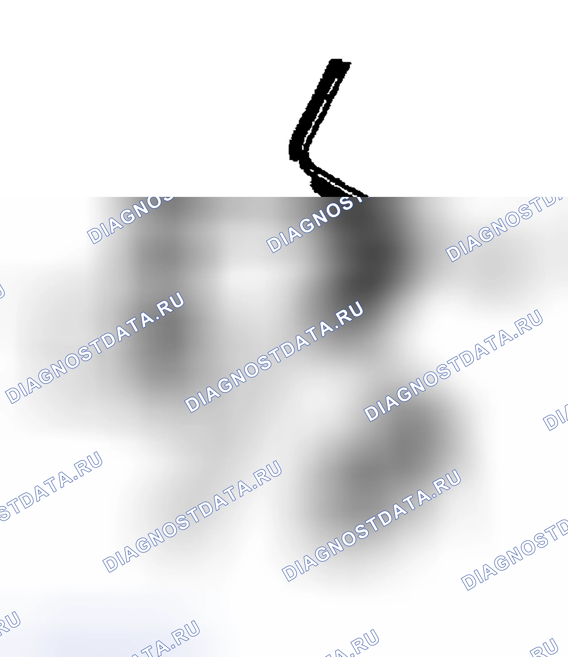Рис. 80. Toyota Sequoia I