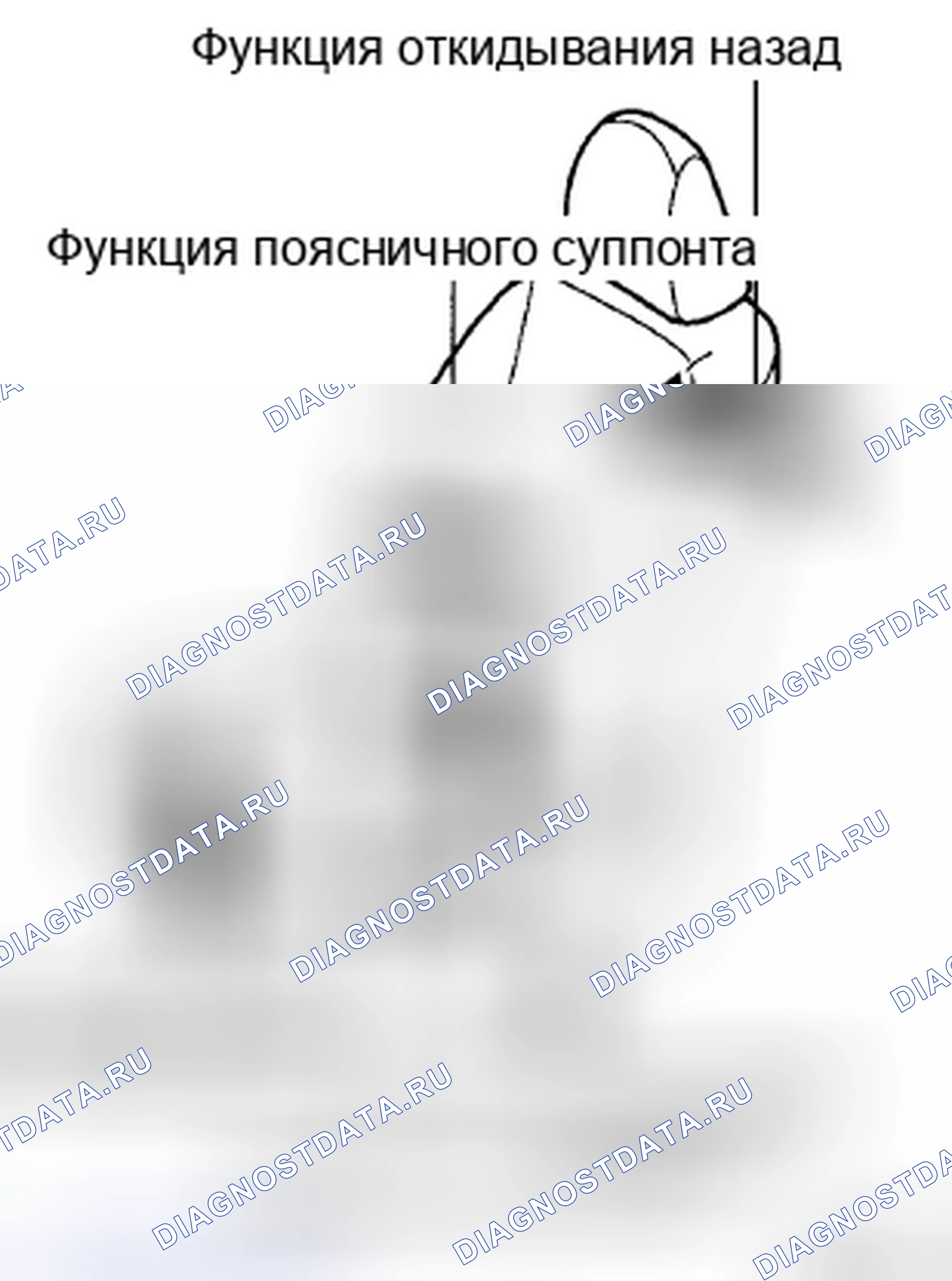 Рис. 1. Toyota Corolla X