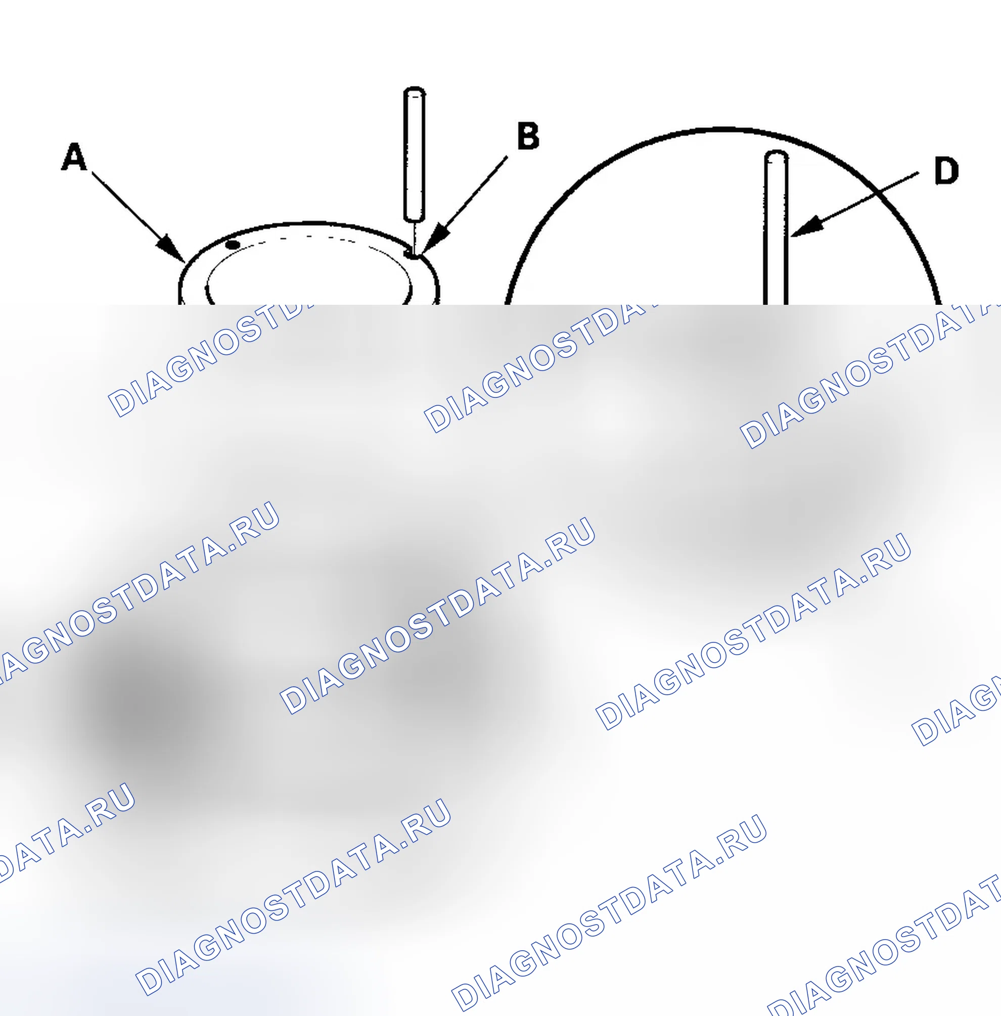 Рис. 134. Honda Element YH2