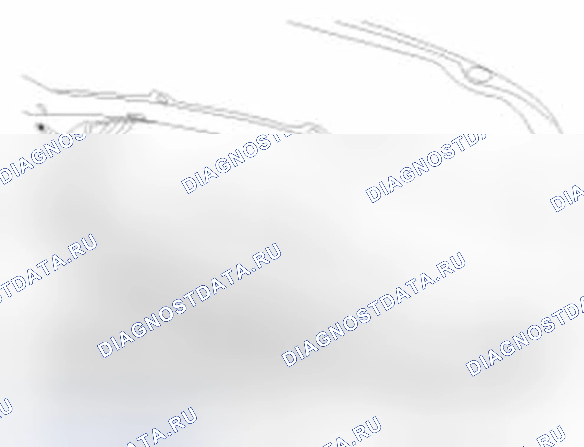Рис. 17: Замена погодной полосы капота. Hyundai Elantra V