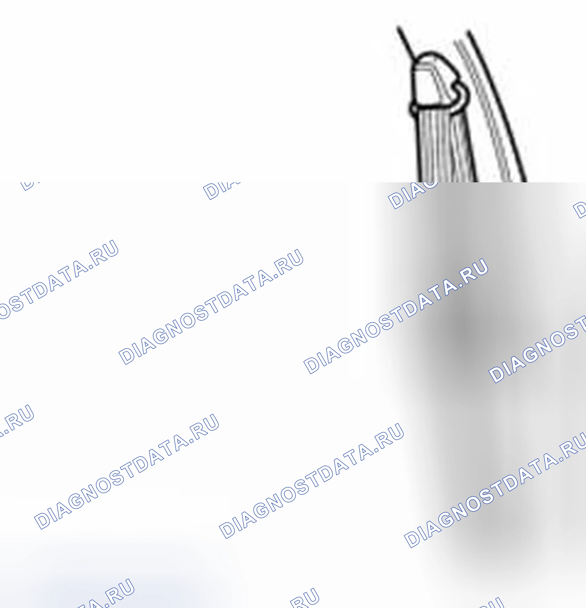 Рис. 9. Ford Fiesta Mk6