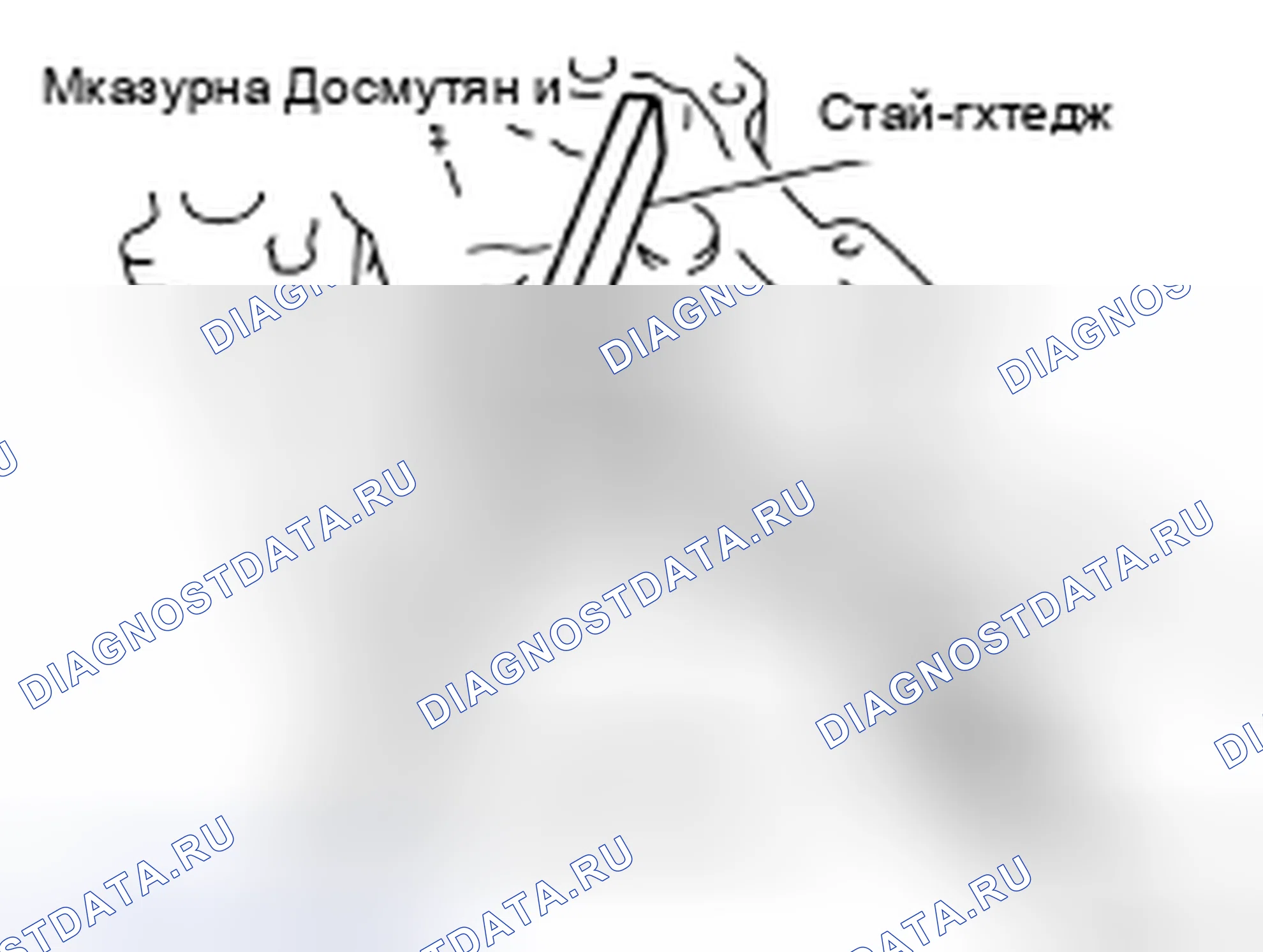 Рис. 2. Nissan Altima L32 рестайлинг
