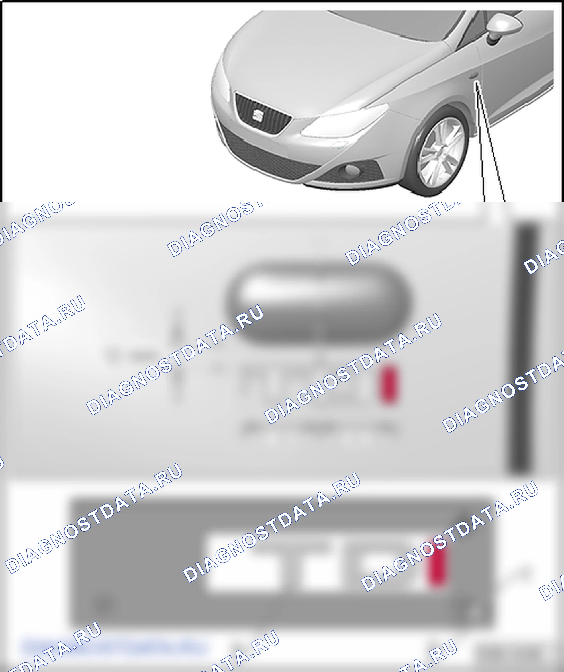 Полоски и эмблемы. SEAT Ibiza IV