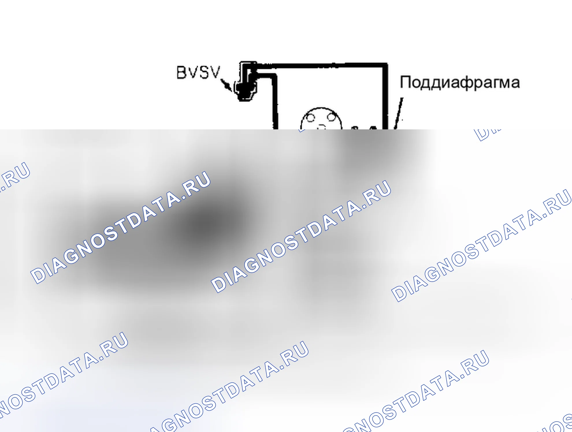 Рис. 66. Toyota Tercel L30