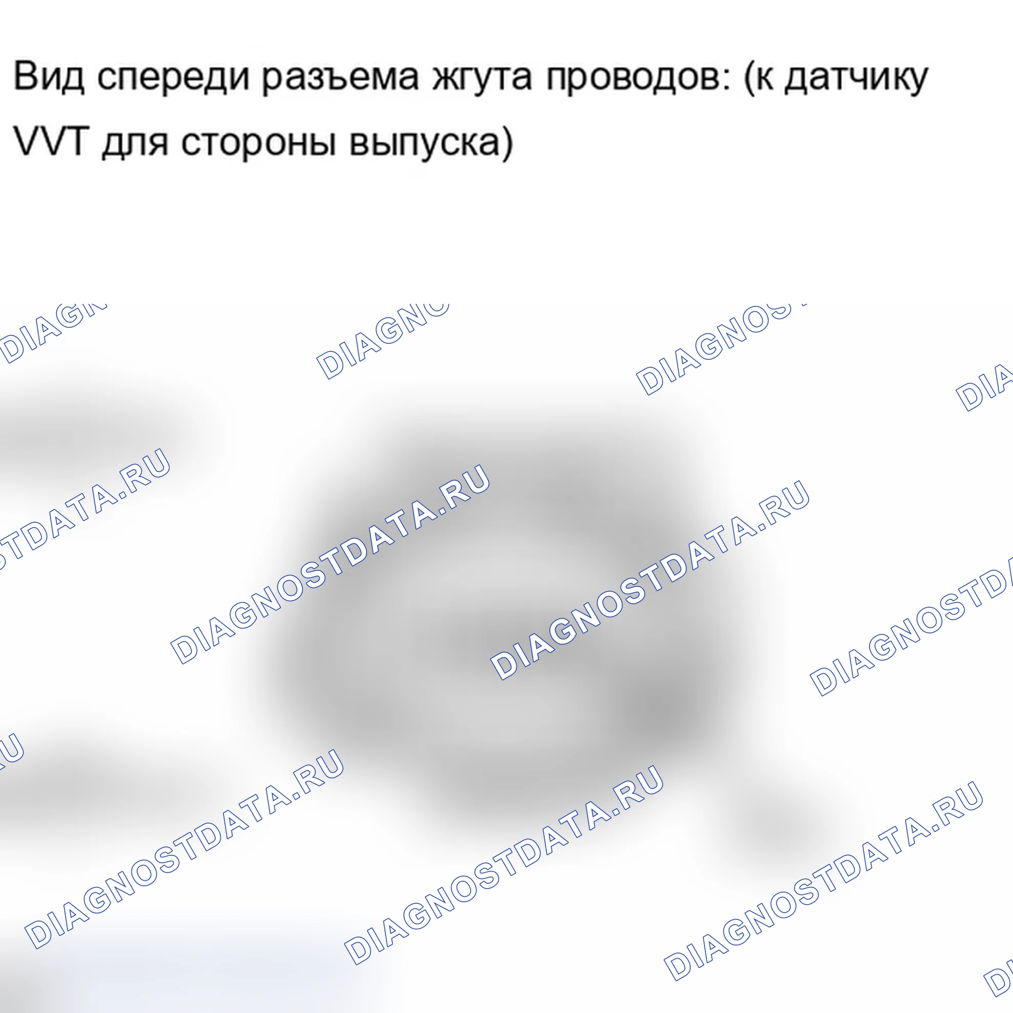 Рис. 316. Lexus IS F I