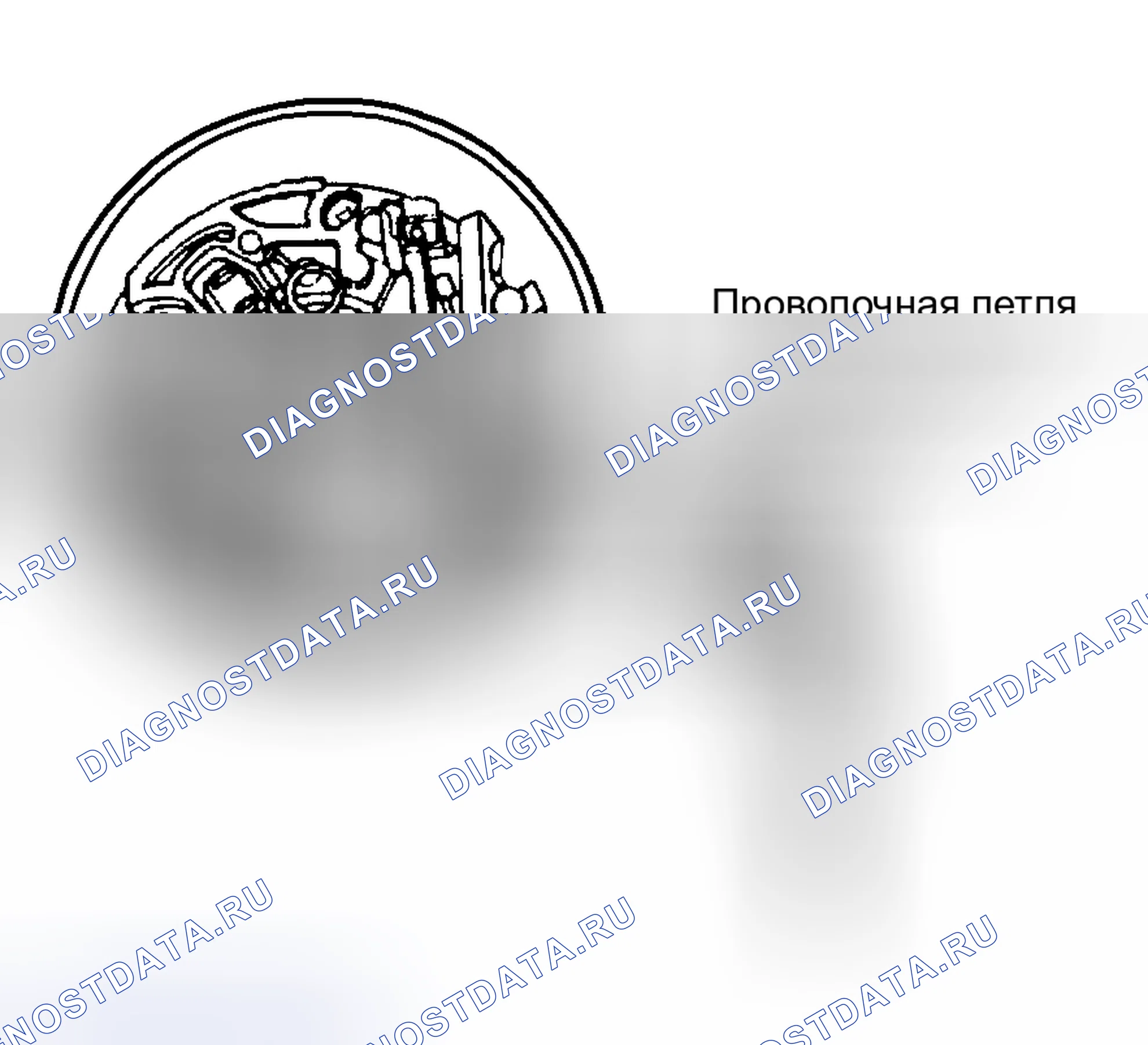 Рис. 1. Hyundai Tiburon I