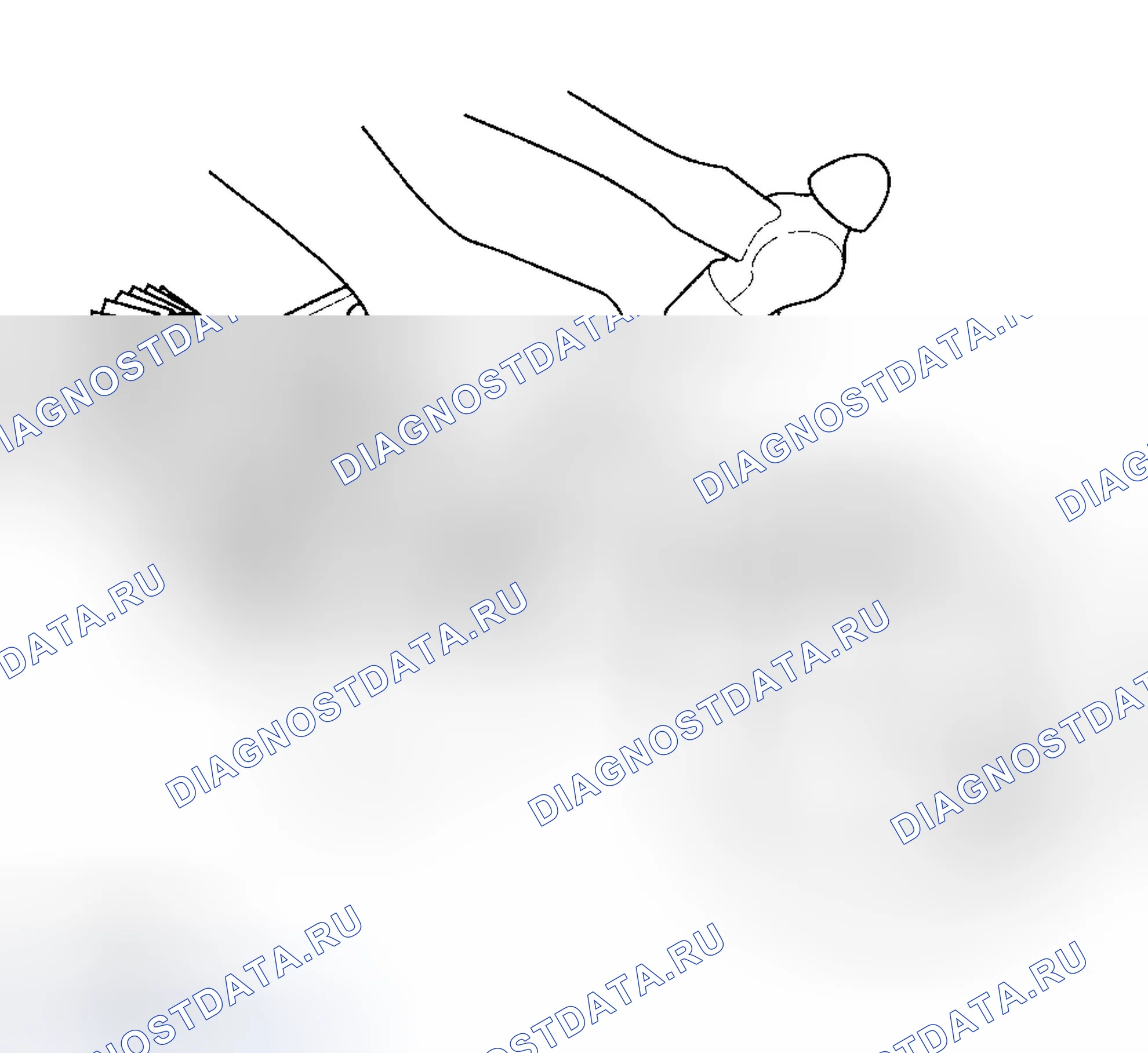 Рис. 226. Honda Element YH2