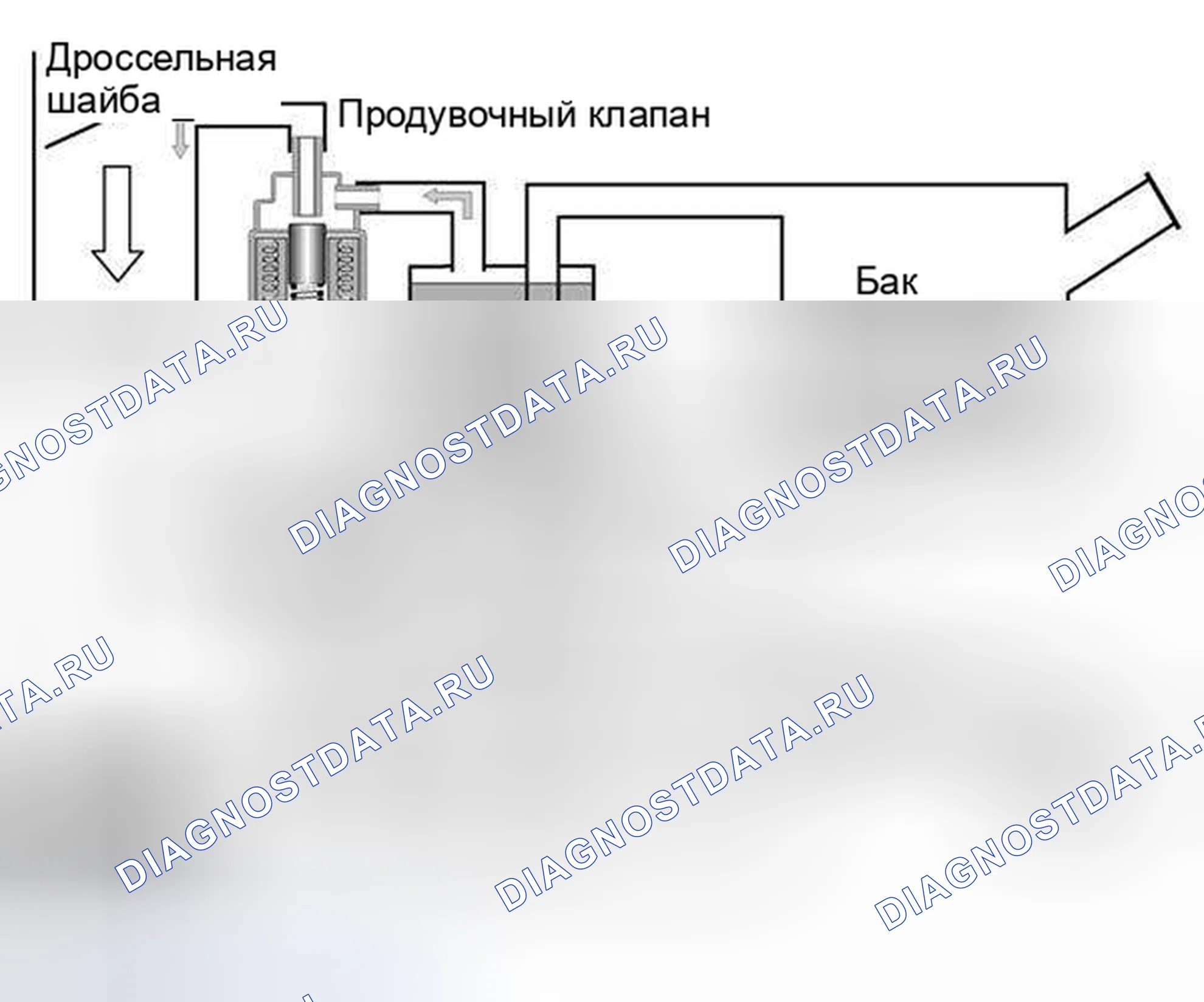 Рис. 49: Функция. BMW M5 E39