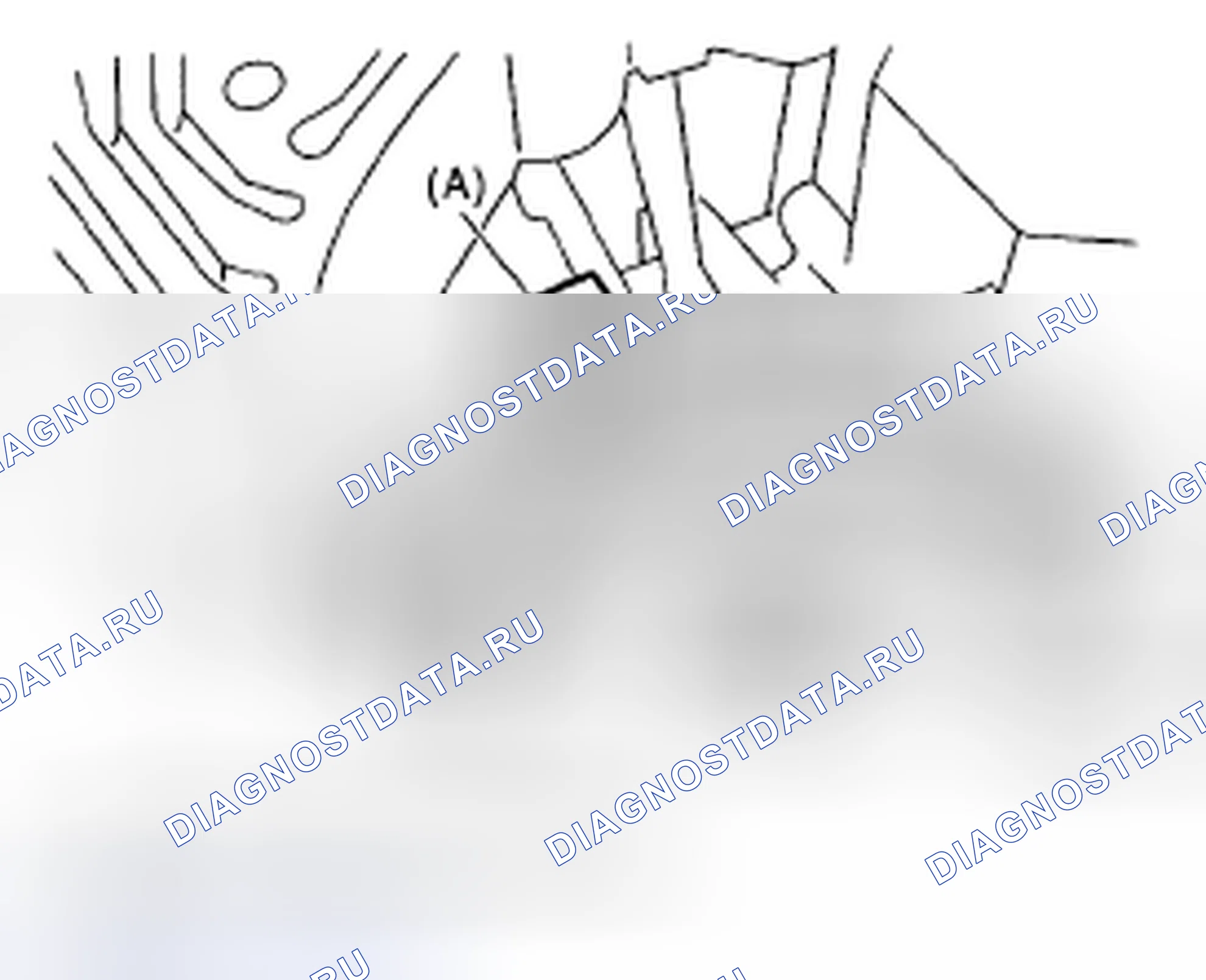 Рис. 254. Subaru Impreza GD/GC/GG рестайлинг 2
