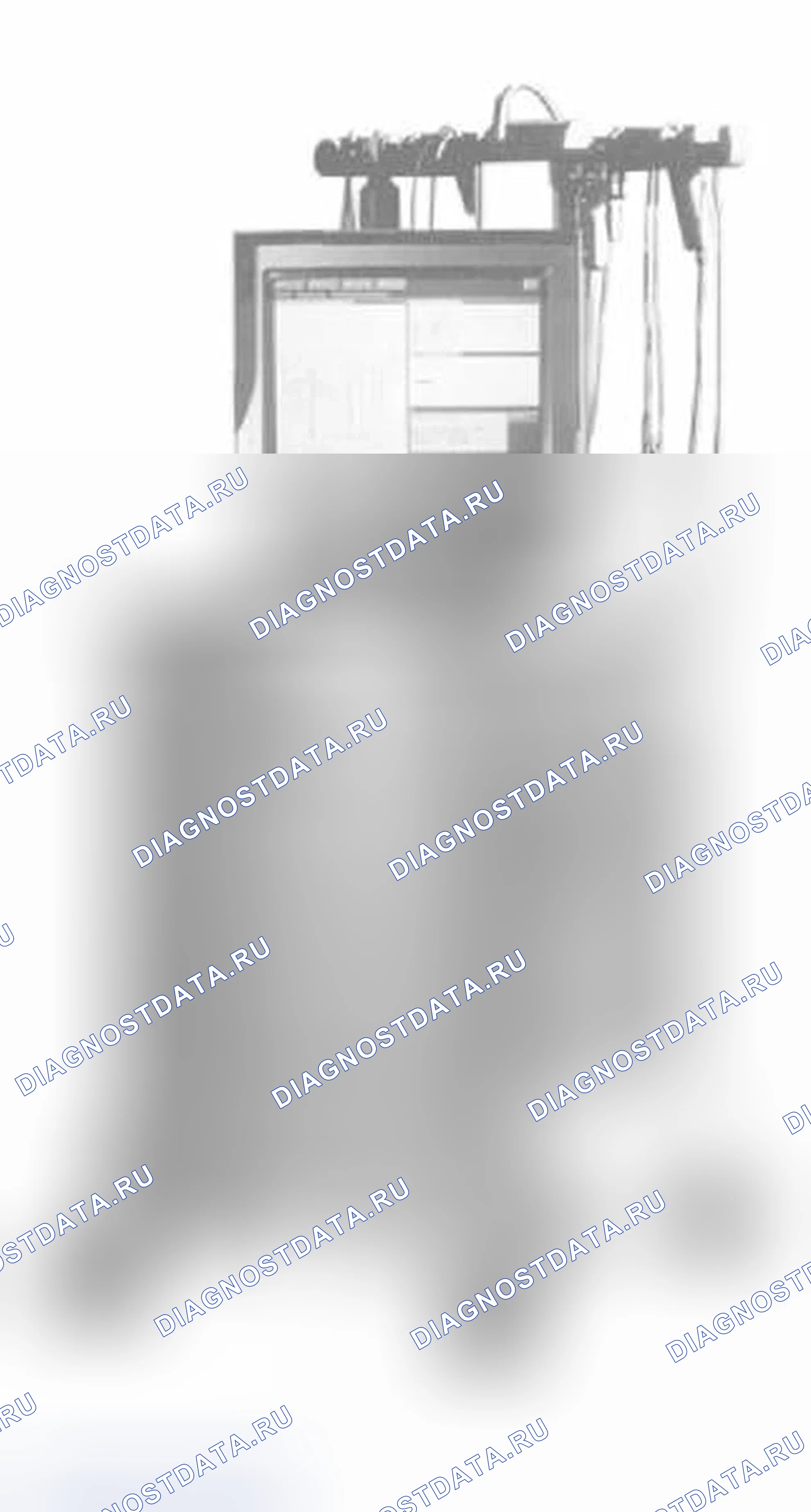 Рис. 351: С диагностической информационной системой BMW (DIS).. BMW X5 E53