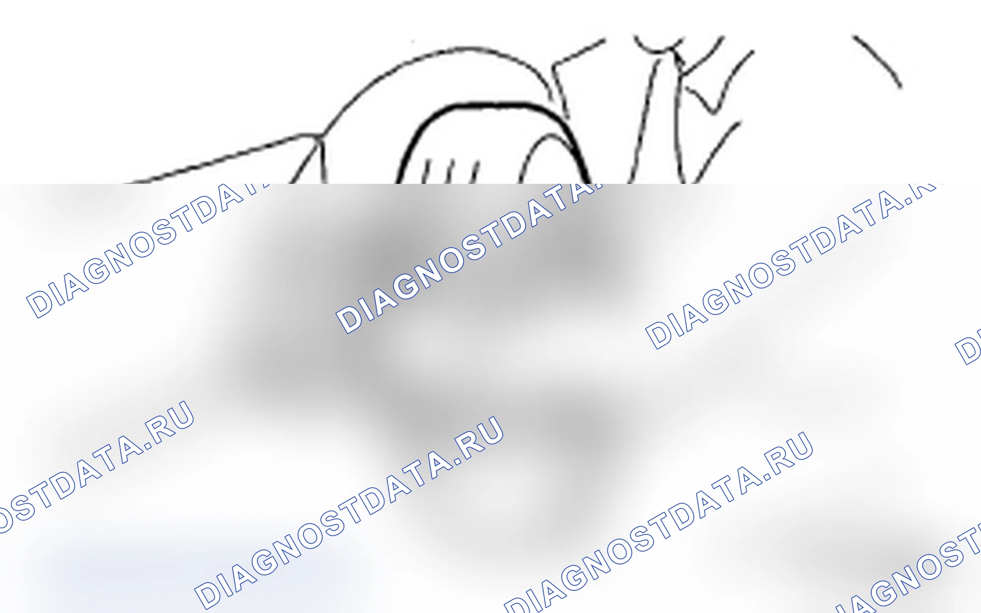 Рис. 268. Subaru Impreza WRX GD/GG рестайлинг 2