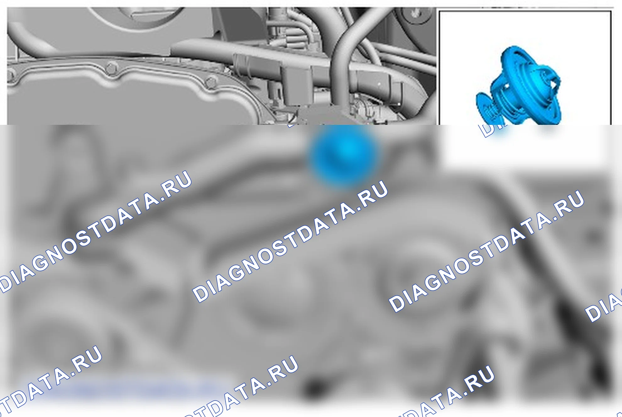Как снять и установить термостат. Ford Transit VIII