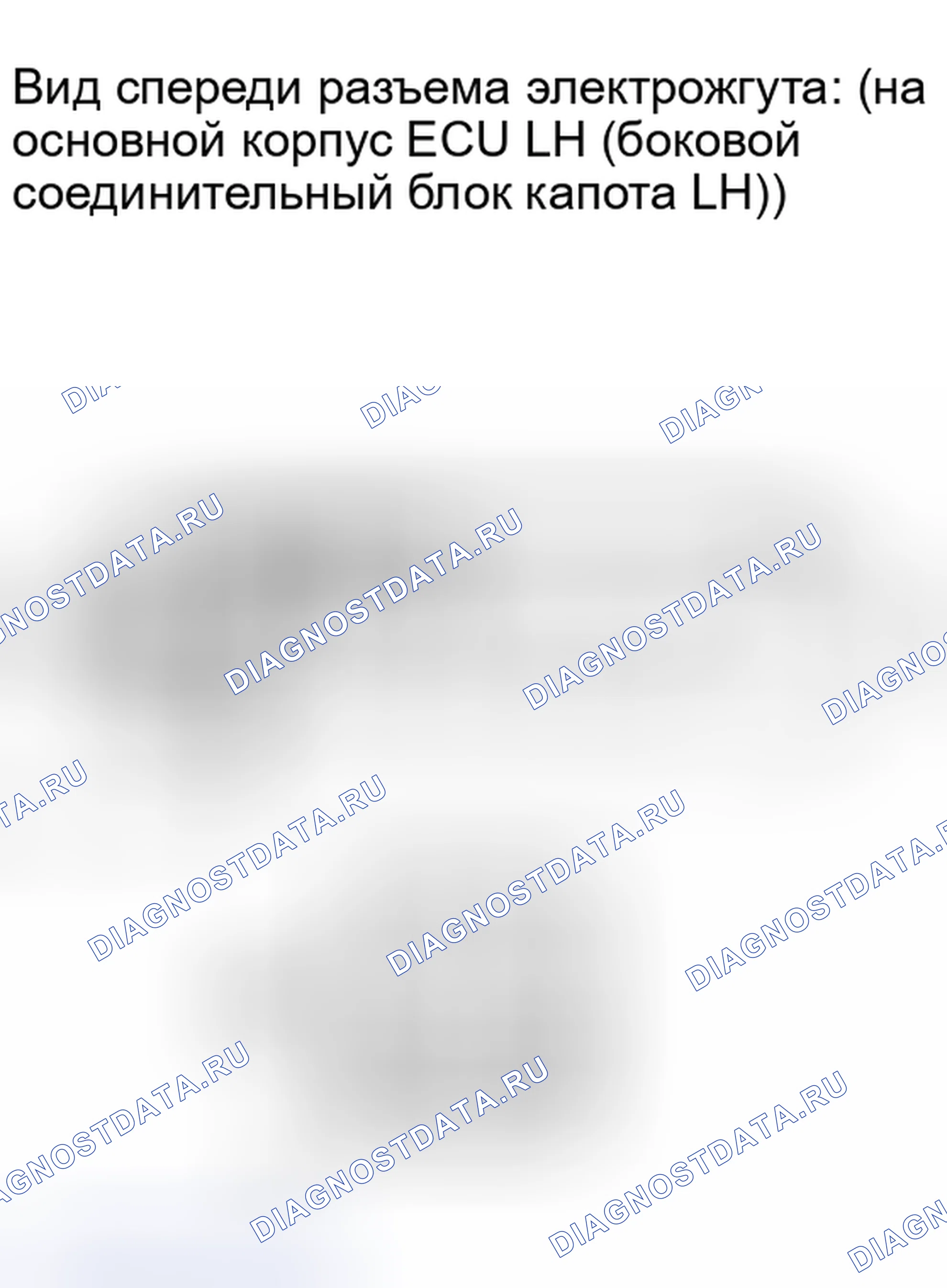 Рис. 79. Lexus IS F I