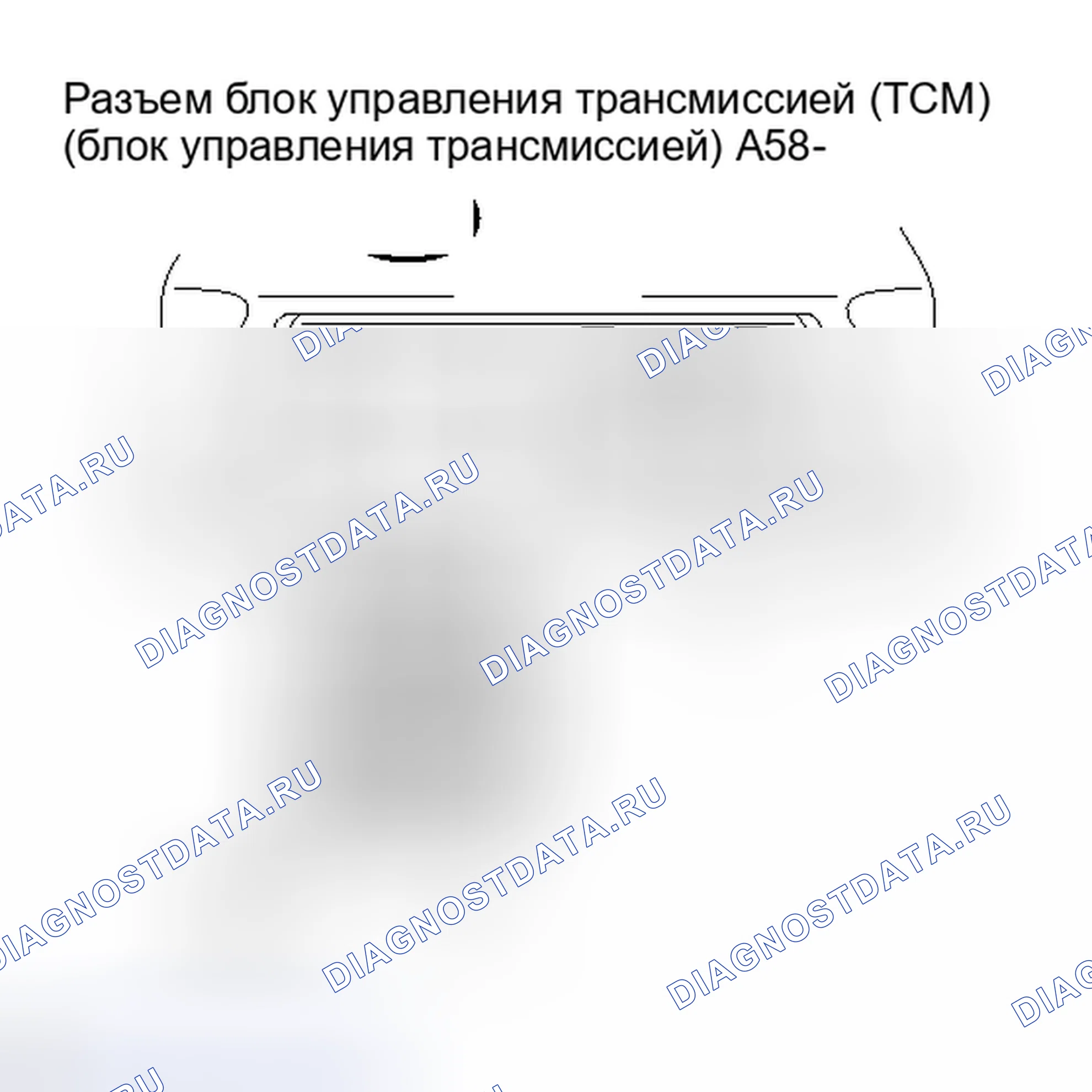 Рис. 397. Lexus IS F I