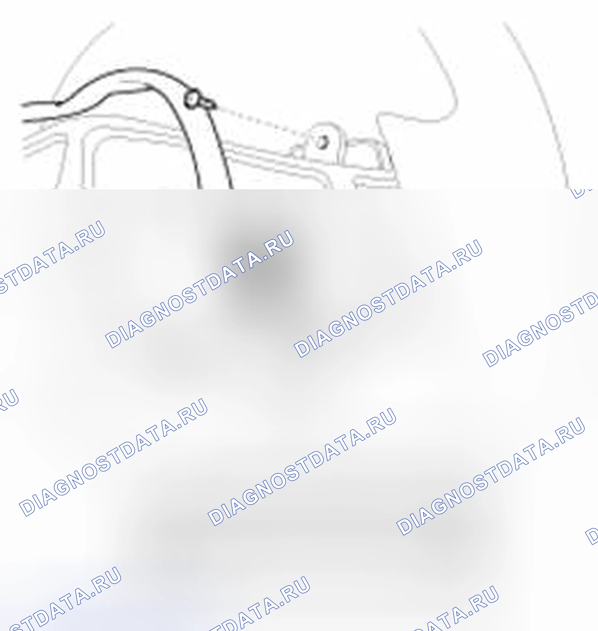 Рис. 38: Проверка мультимедиа. Geely SC7 I