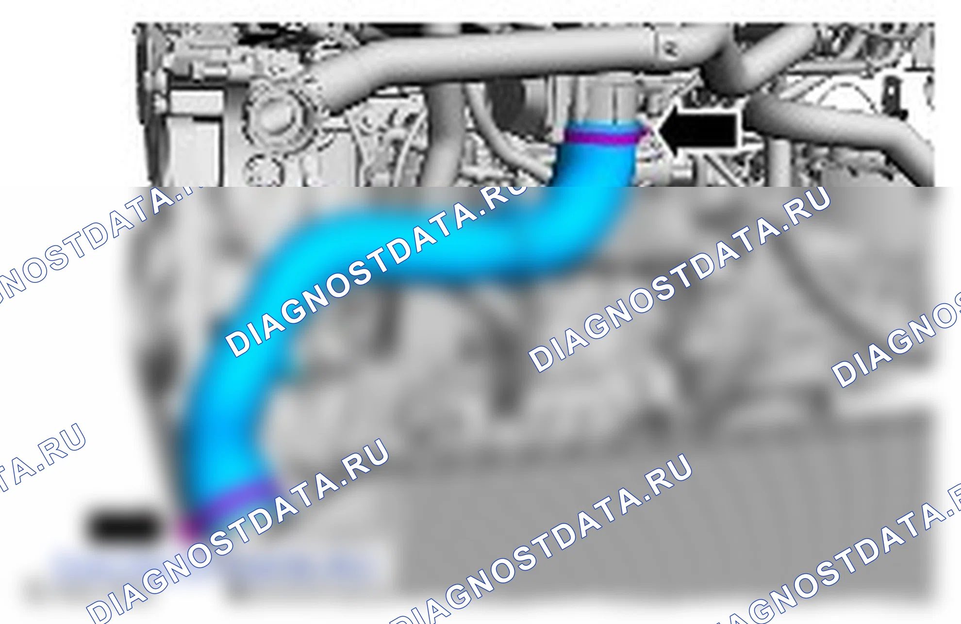 Как установить двигатель. Ford Kuga II