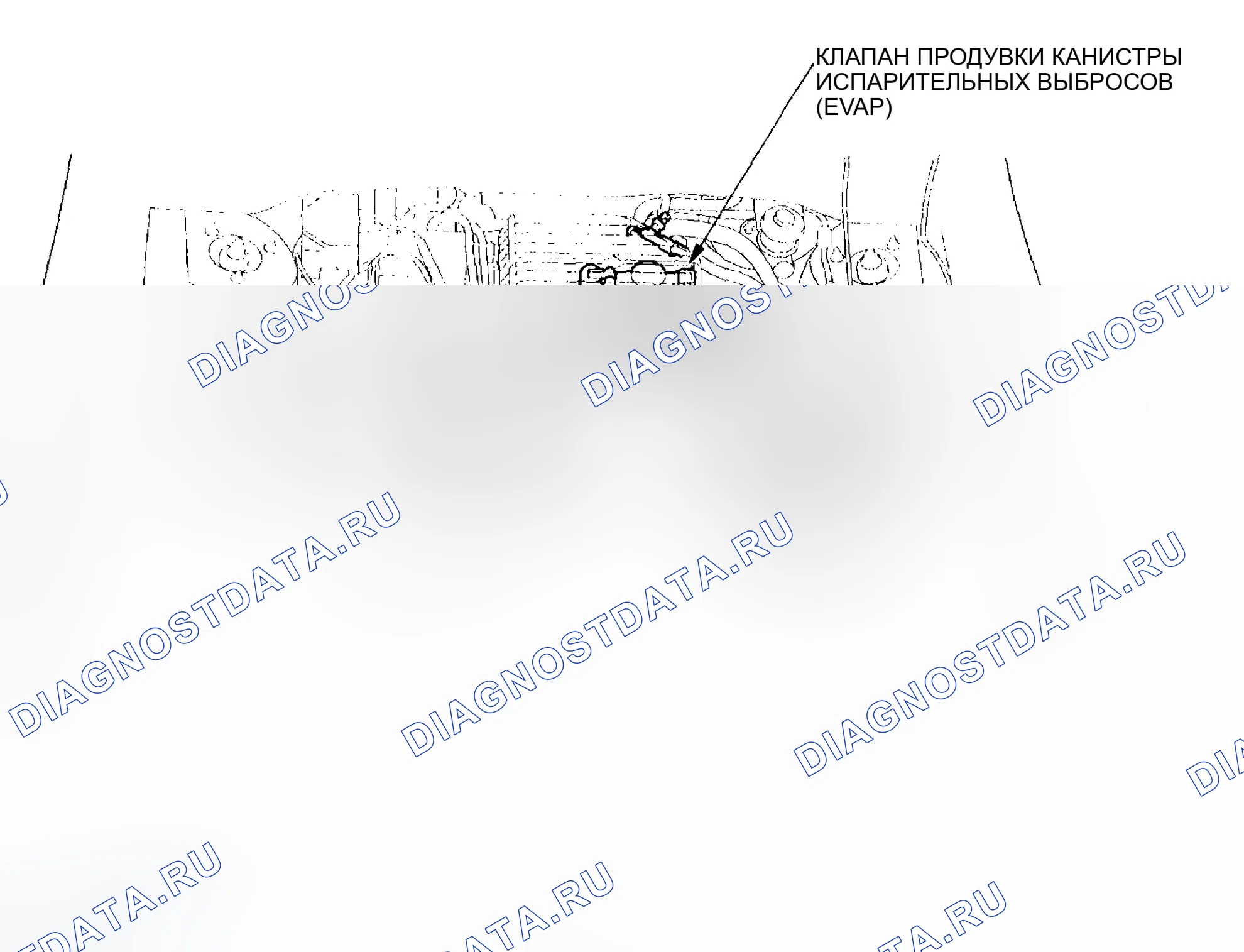Рис. 30: Указатель расположения компонентов. Honda Civic VII