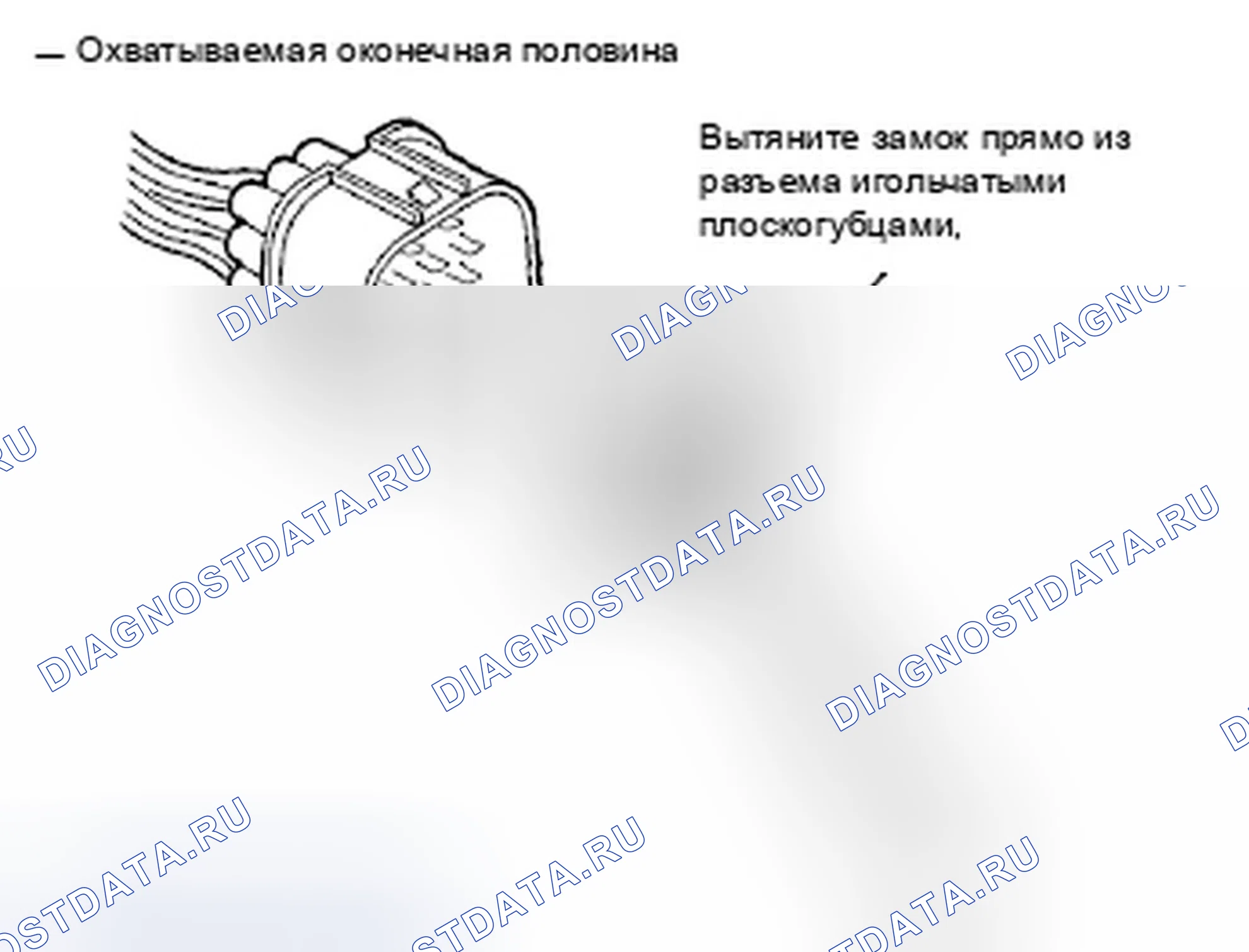 Рис. 1331. Honda Accord VII рестайлинг