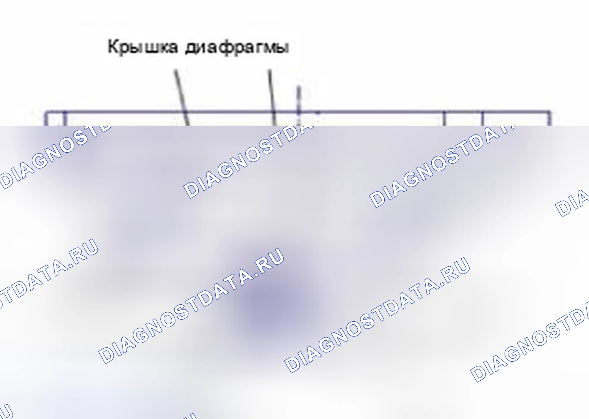Рис. 35: Проверка мультимедиа. Kia Sedona II рестайлинг