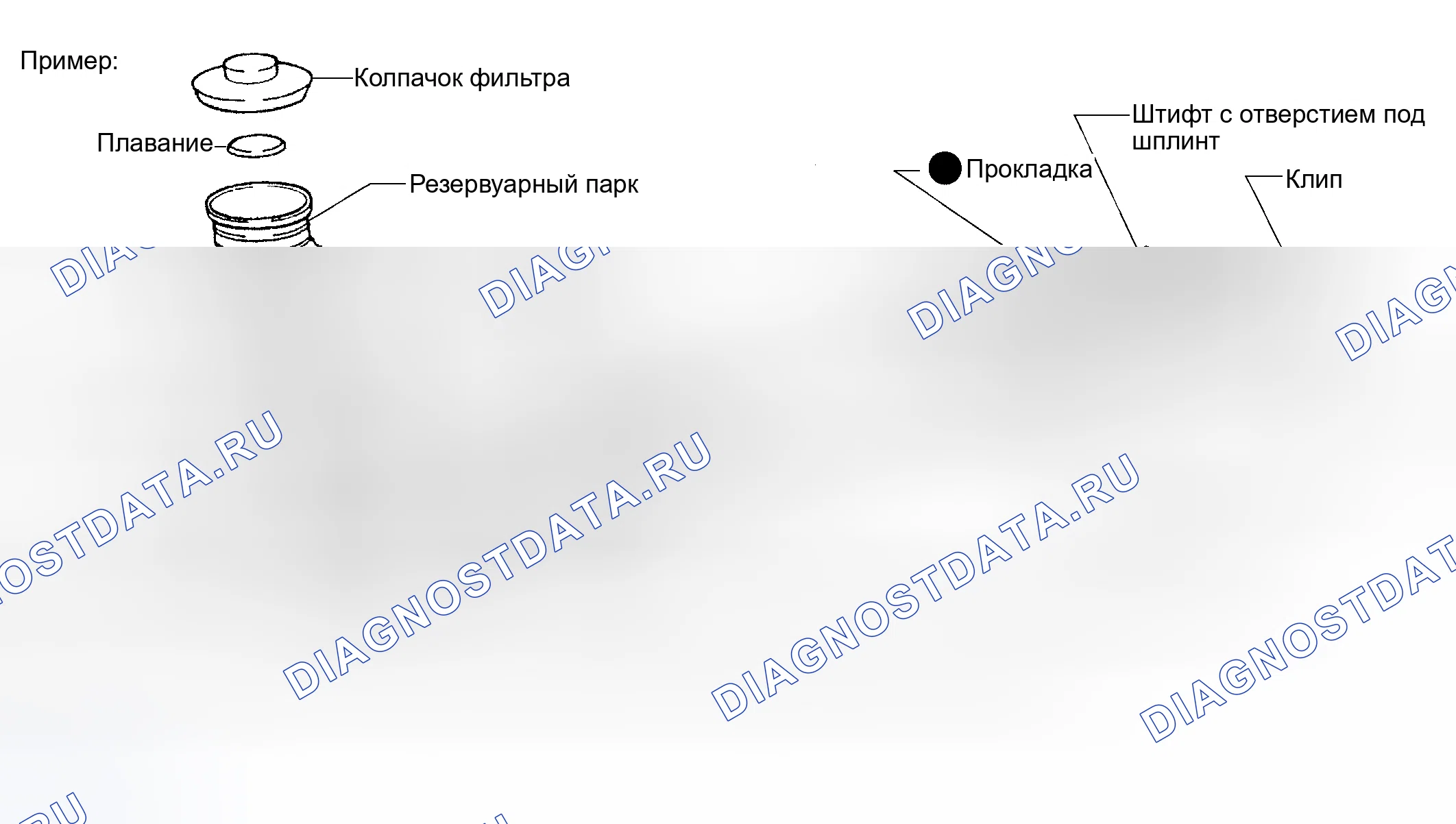 Рис. 1: ОБЩИЕ СВЕДЕНИЯ. Toyota Camry Solara II
