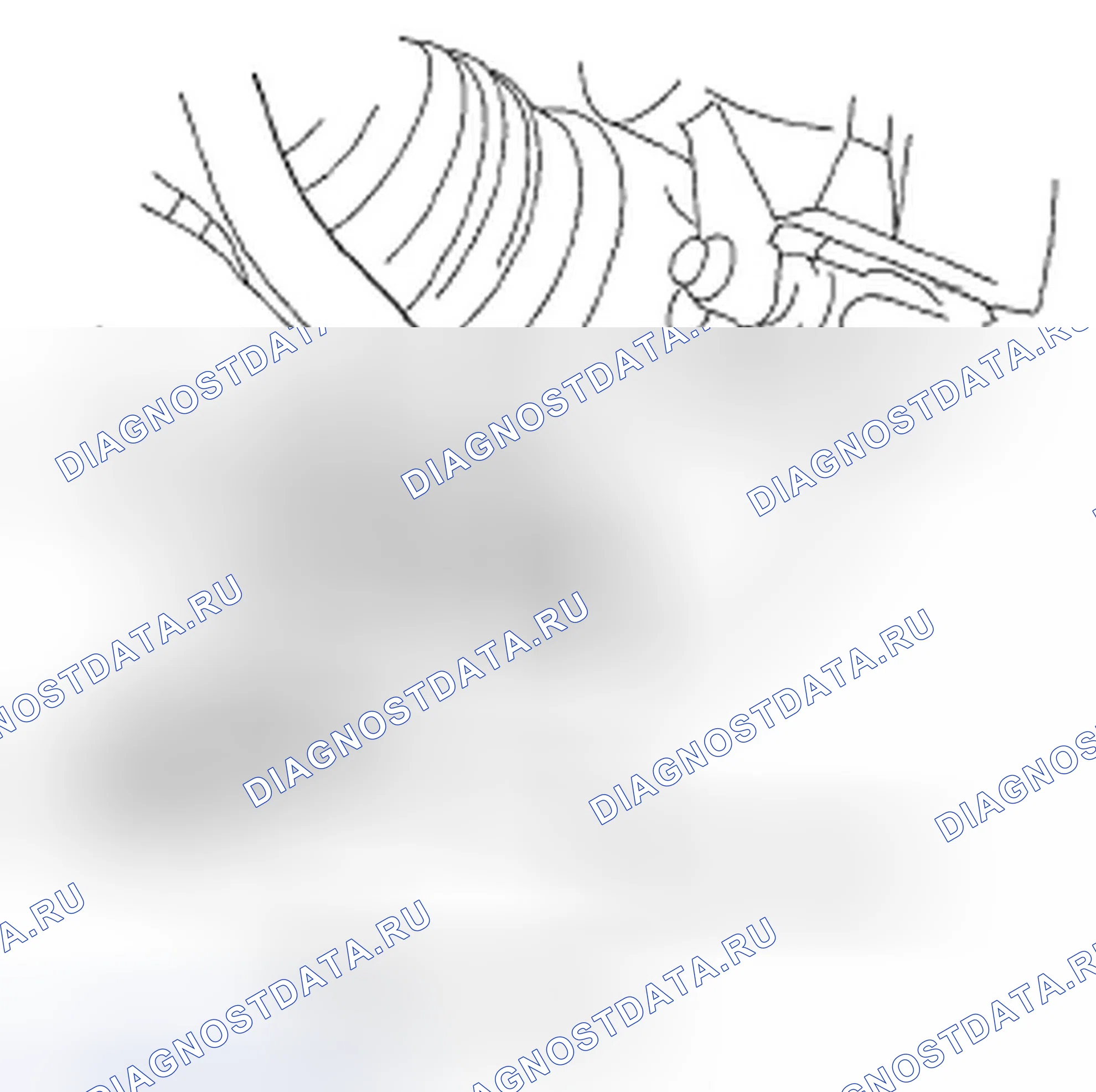 Рис. 141. Honda Civic VIII рестайлинг