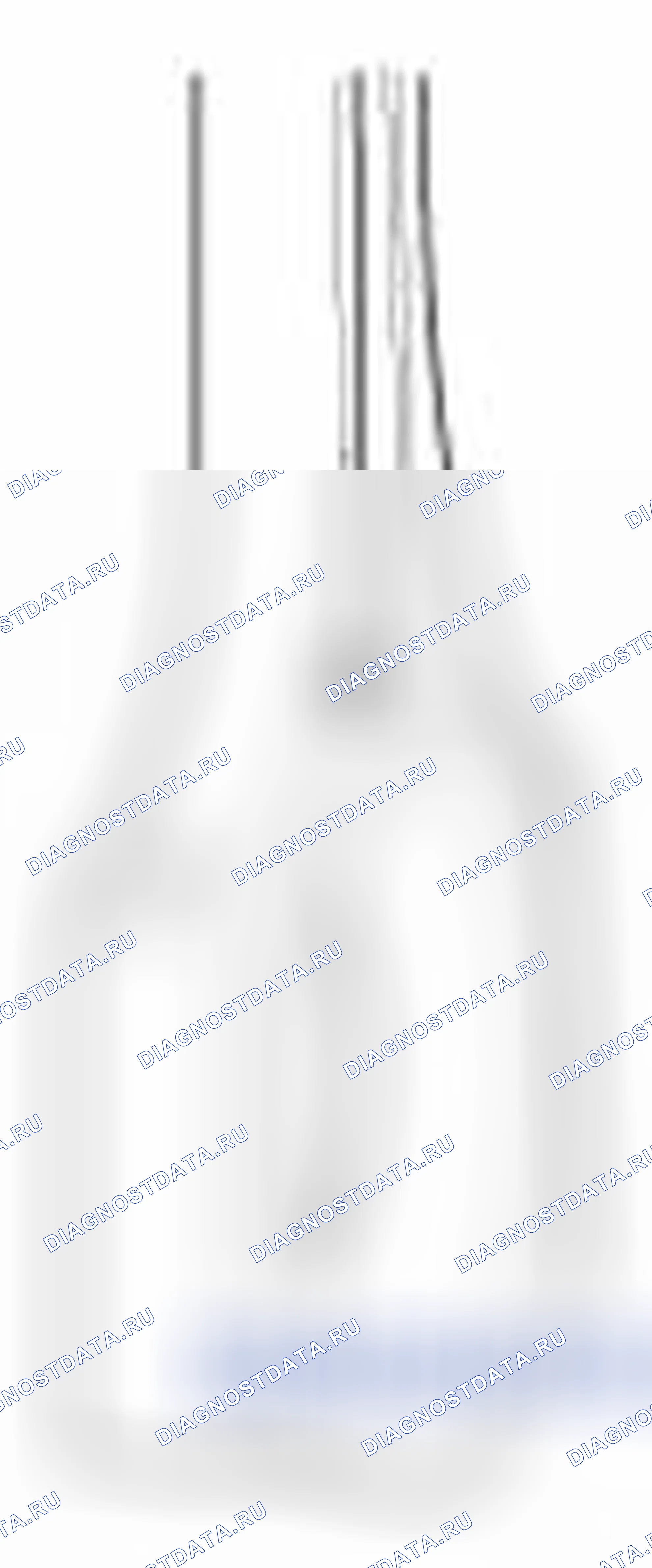 Рис. 289. Haval Beast (Shenshou) I
