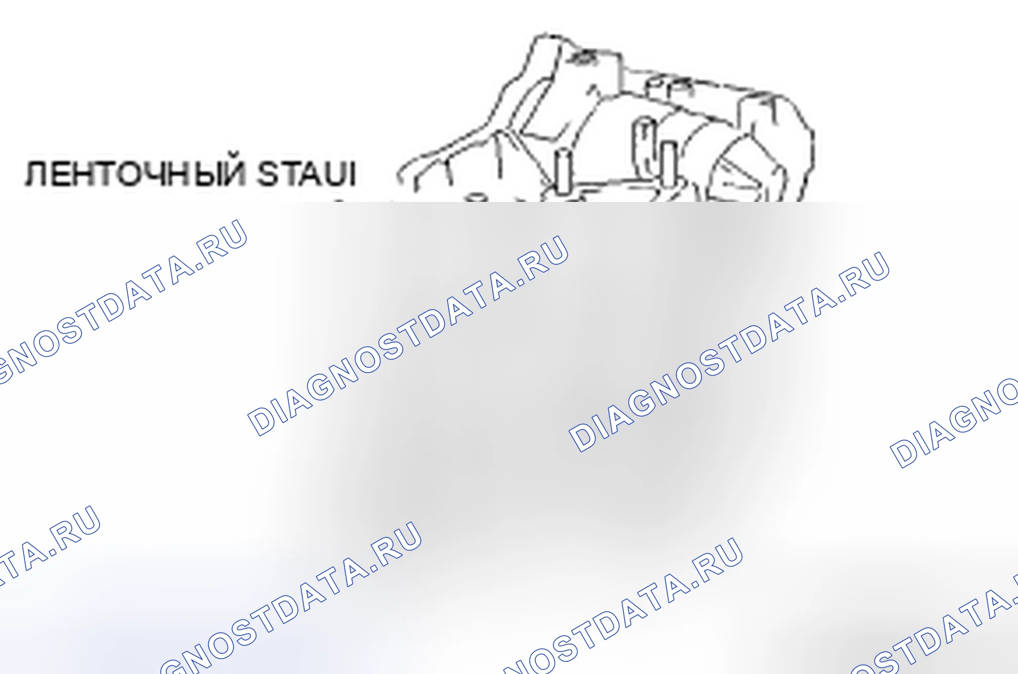 Рис. 815. Audi R8 I