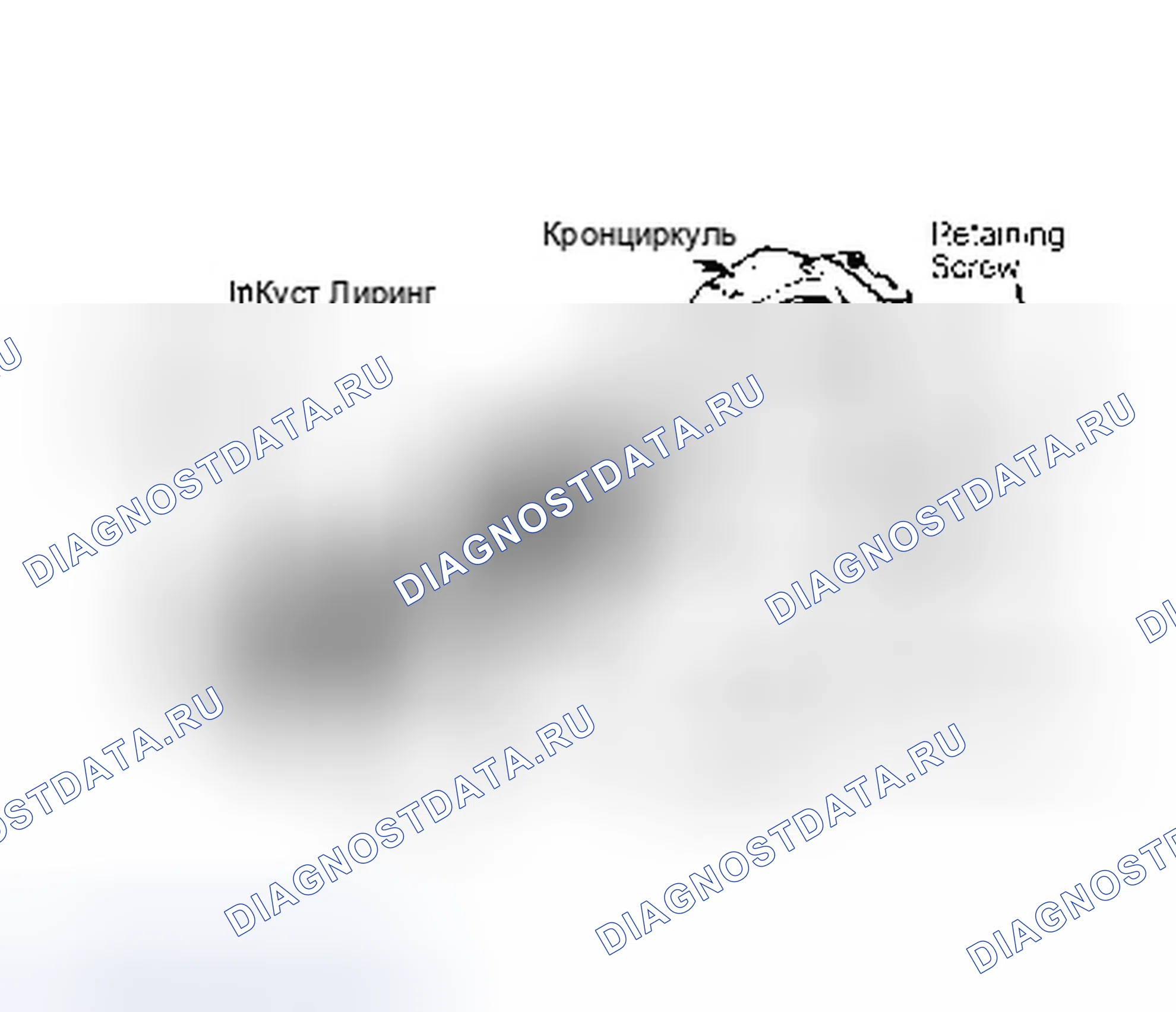 Рис. 1. Dodge Dakota WS 