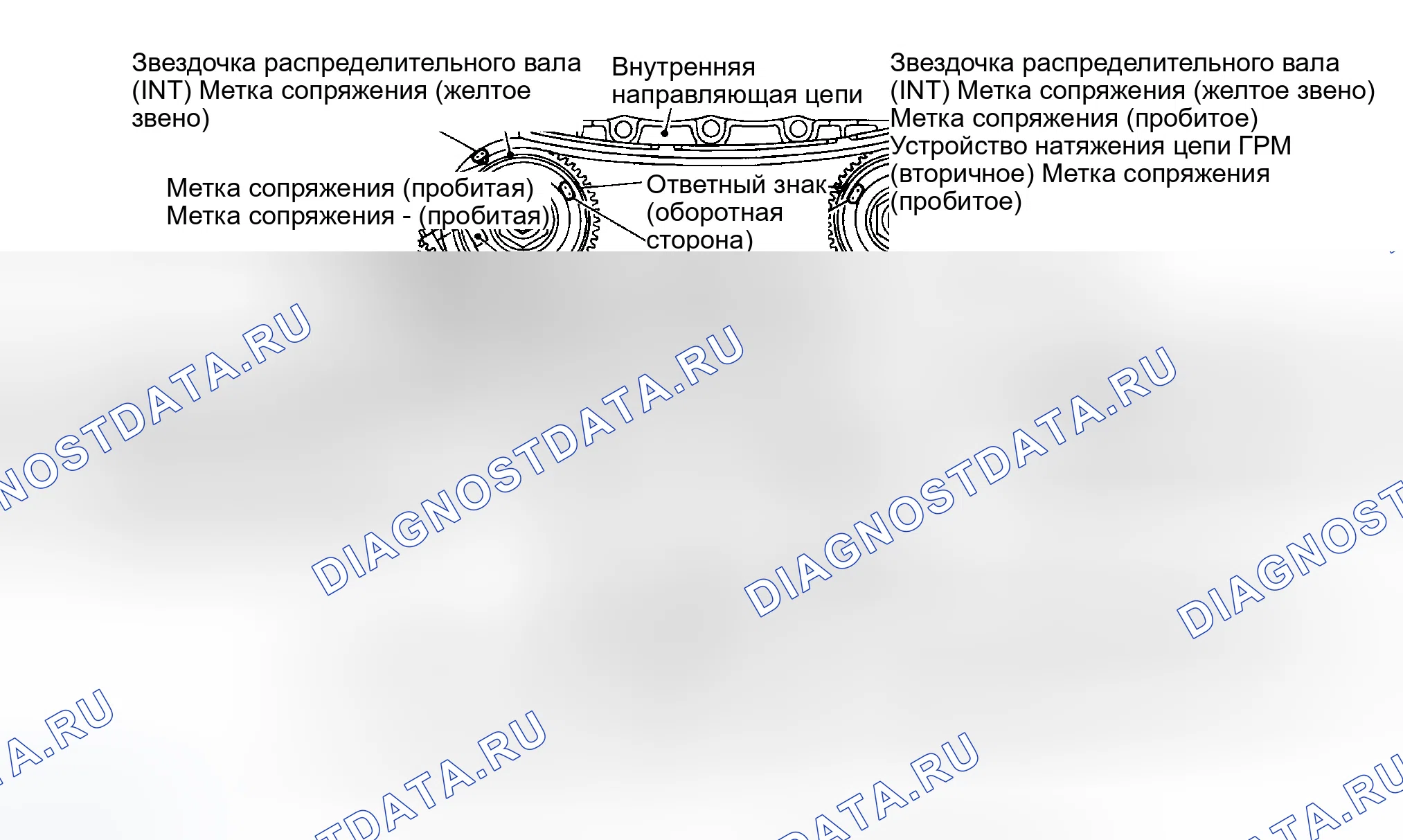 Рис. 585: УСТАНОВКА. Infiniti G35 III