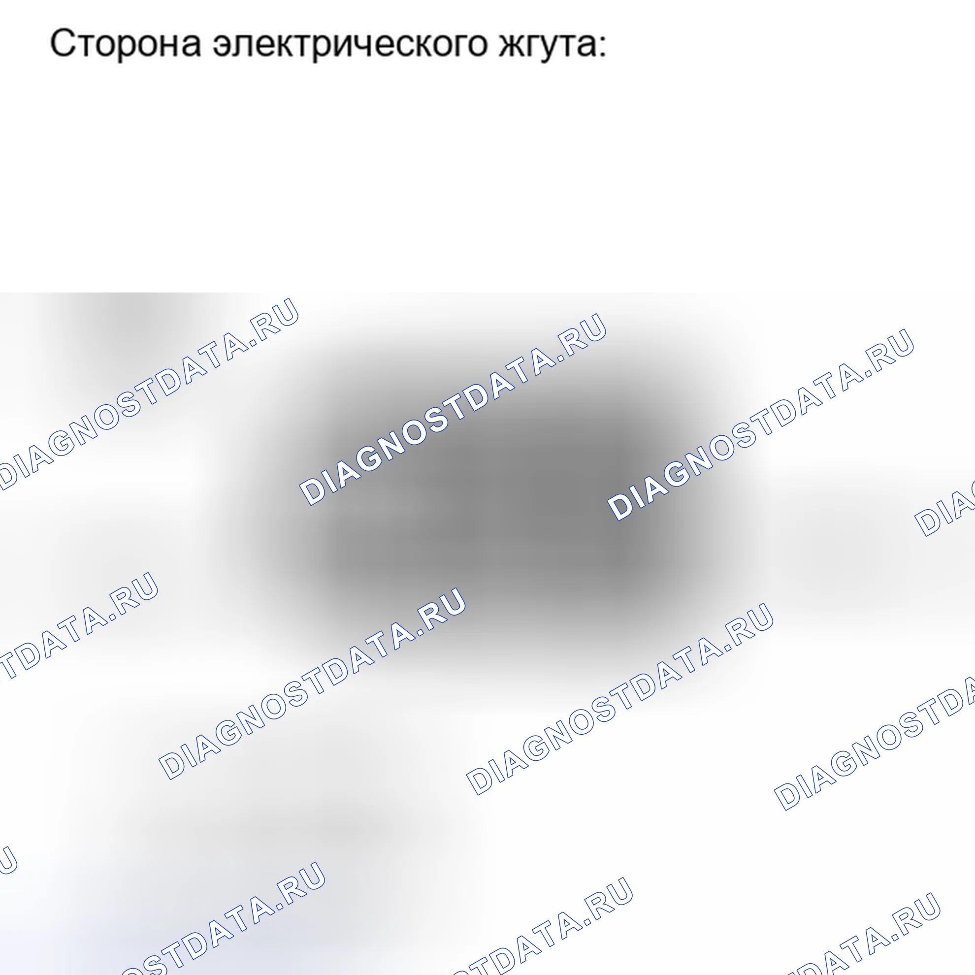 Рис. 244. Toyota RAV4 III рестайлинг