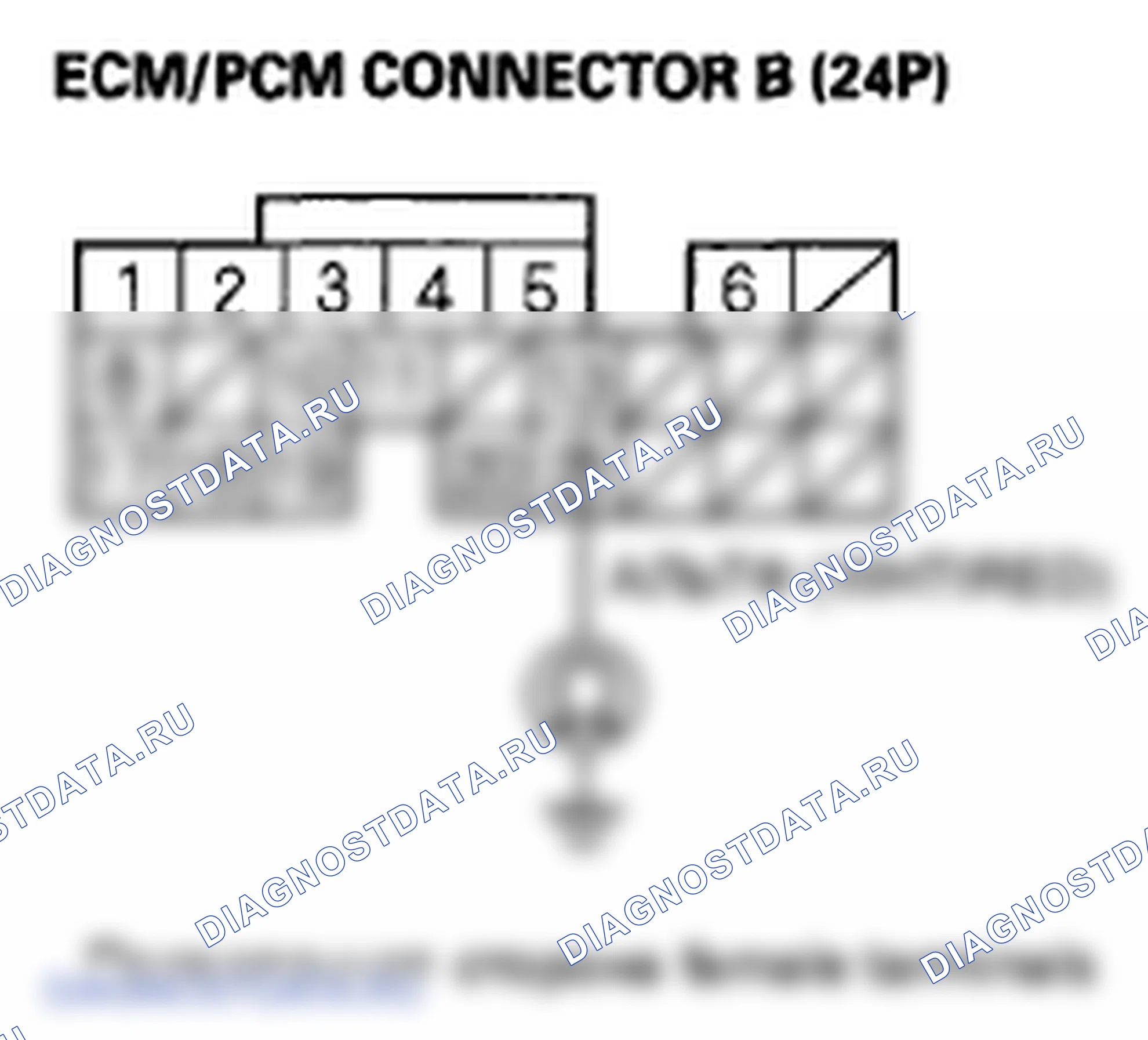 Рис. 435. Honda Element YH2 рестайлинг