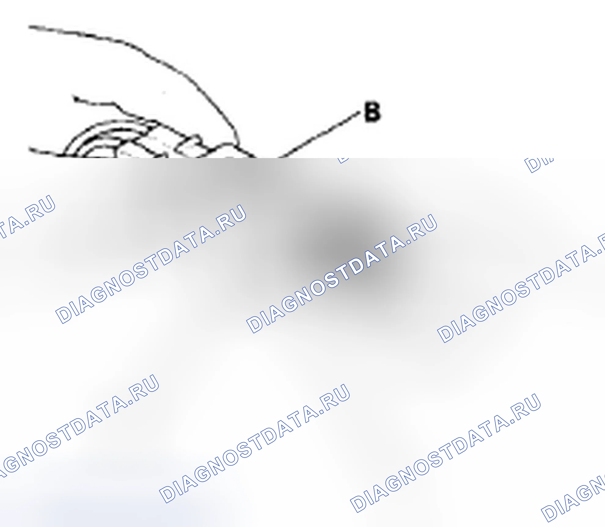 Рис. 222: Подключение. Honda S2000 I