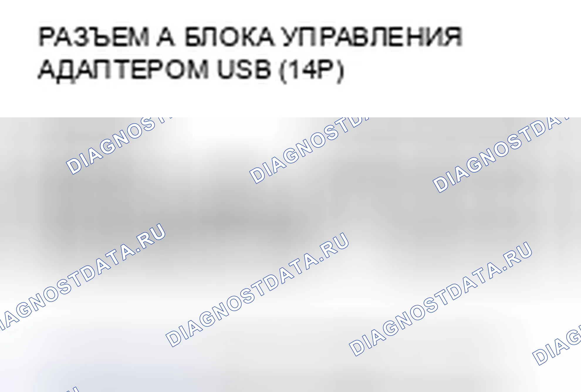 Рис. 206. Honda Crosstour I