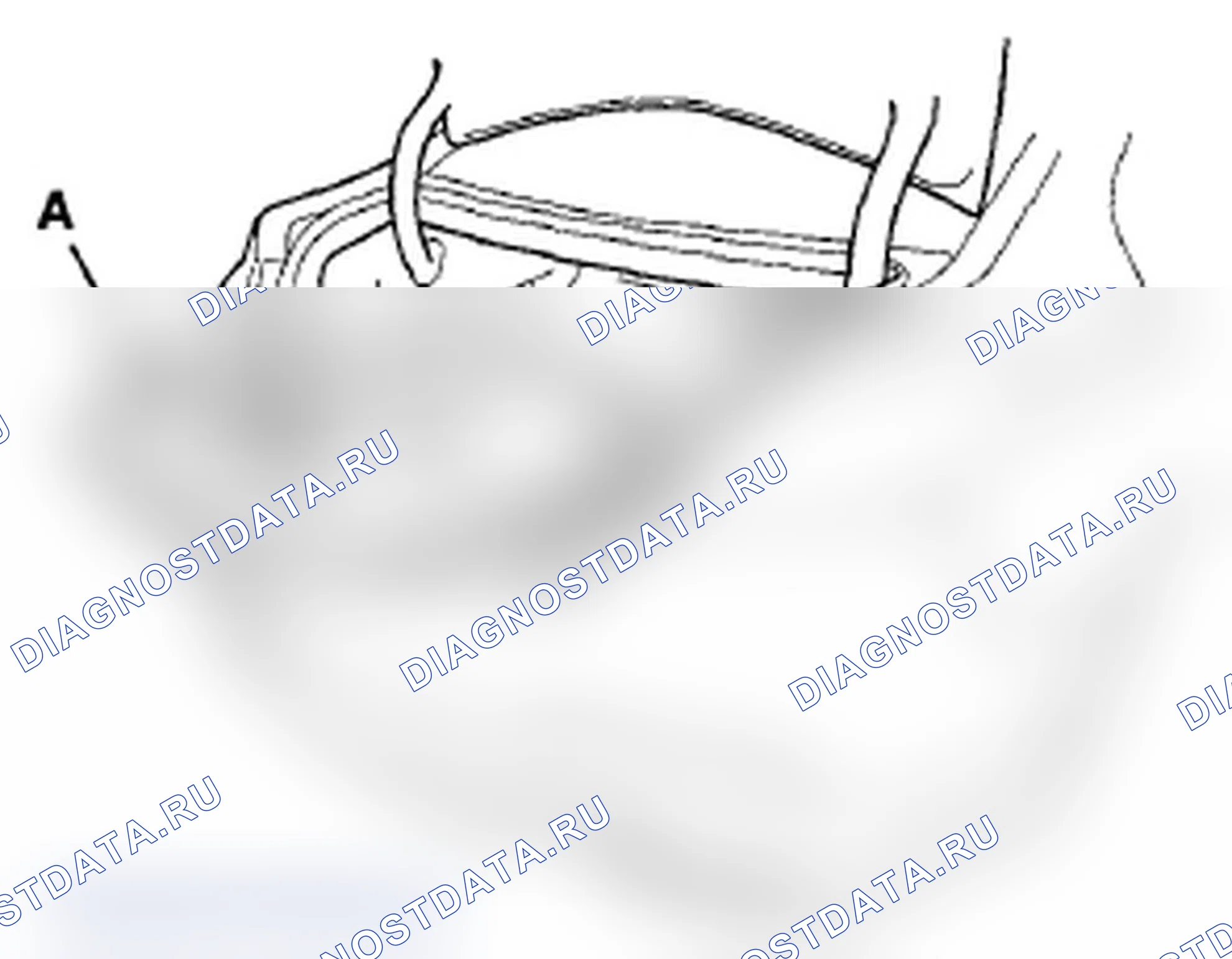 Рис. 58. Acura TL IV рестайлинг