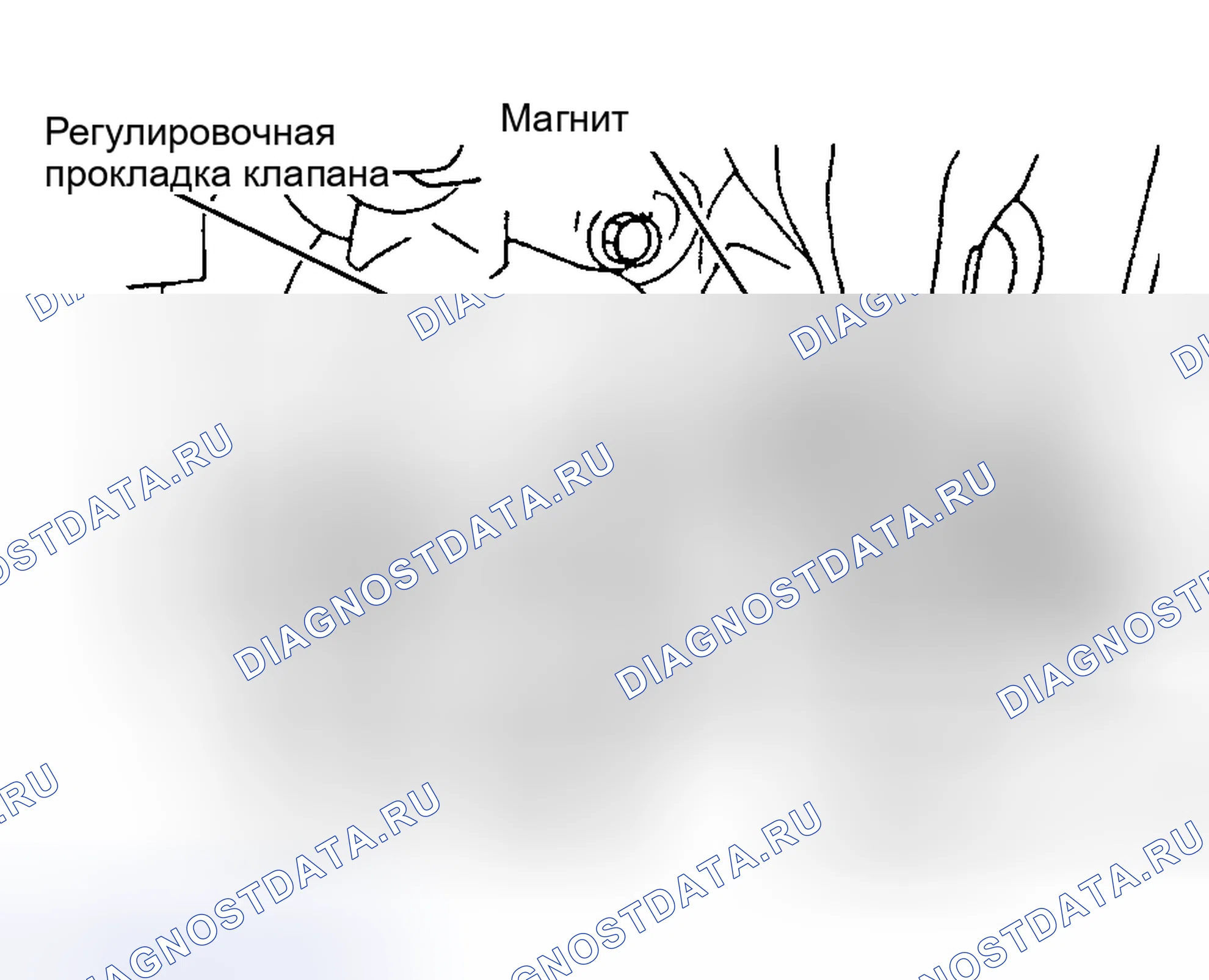 Рис. 2. Honda XR-V I