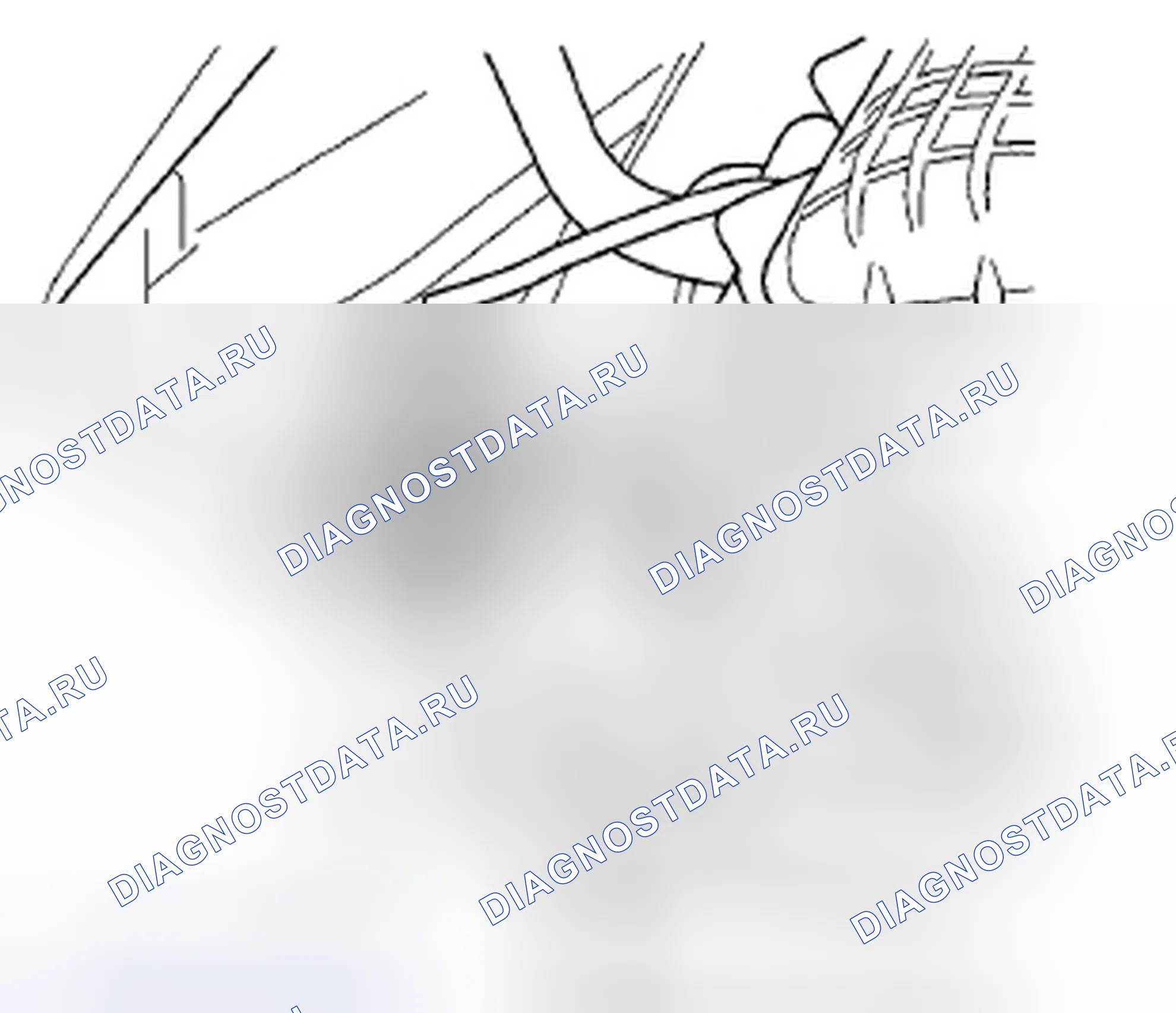 Рис. 316. Honda Insight ZE2