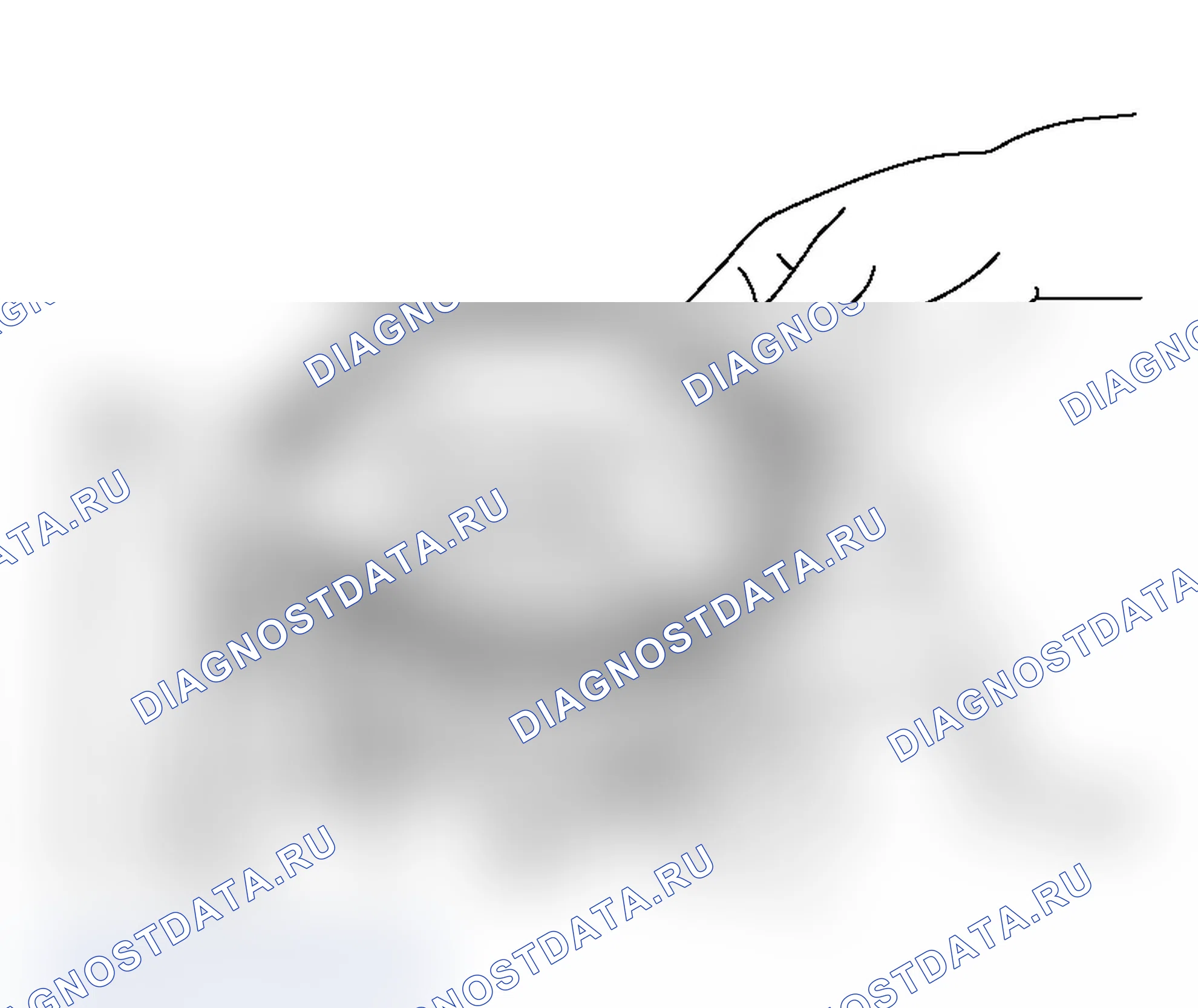 Рис. 645. Mitsubishi Lancer Evolution IX