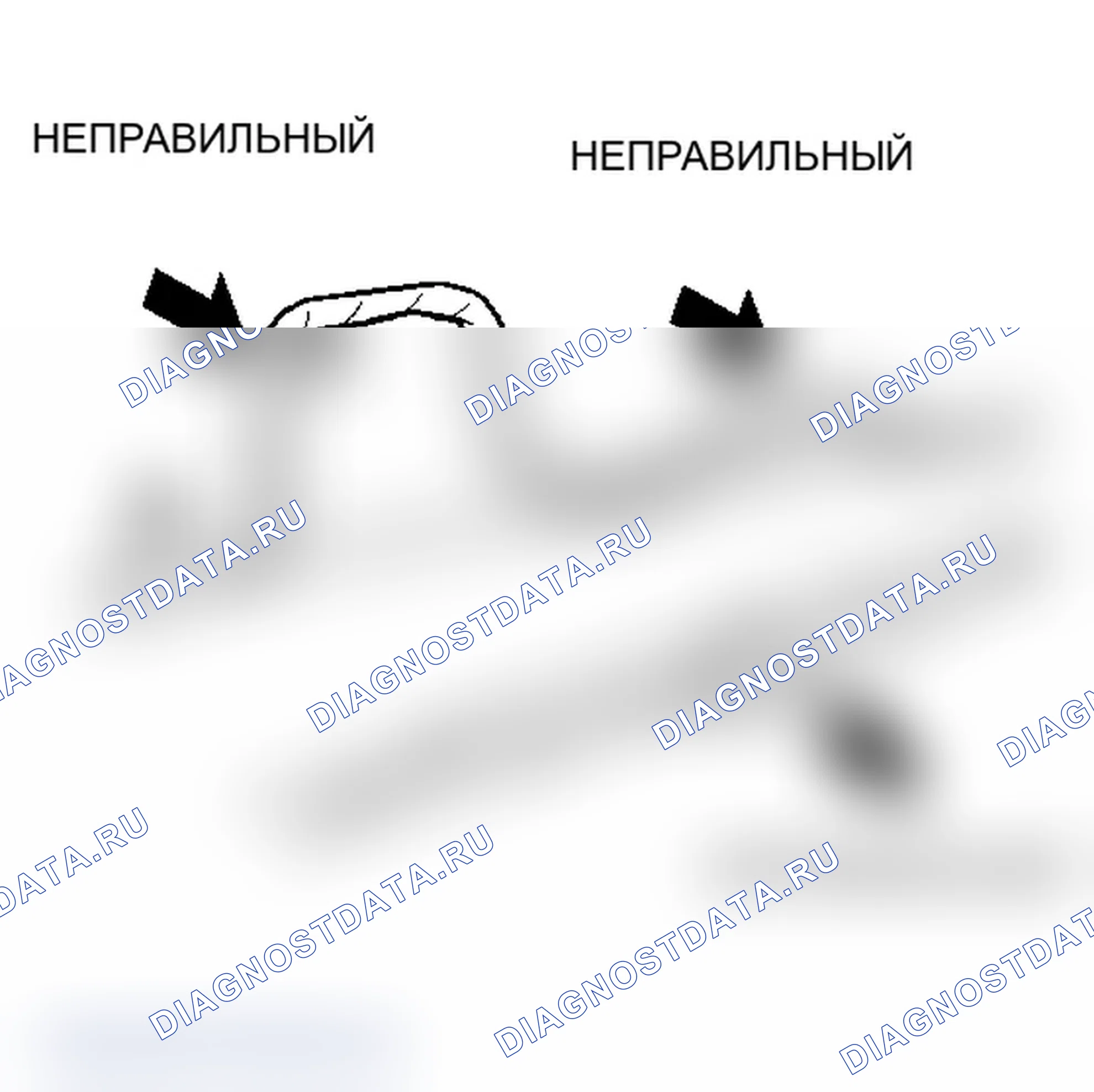 Рис. 55. Lexus IS F I