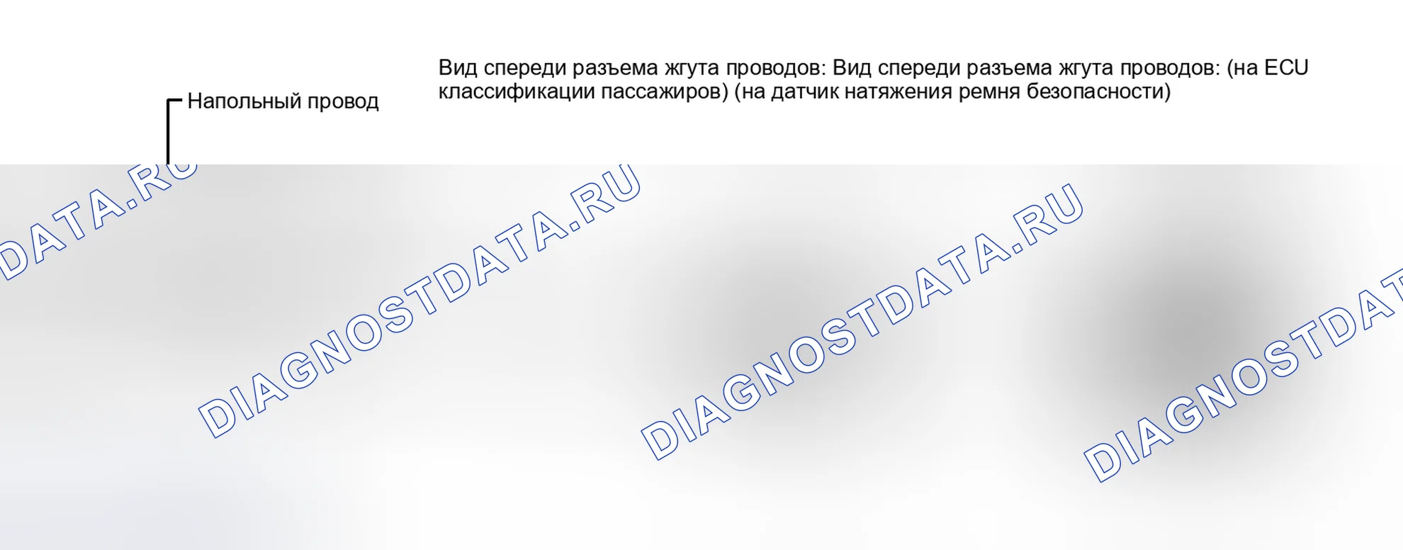 Рис. 48. Lexus IS F I