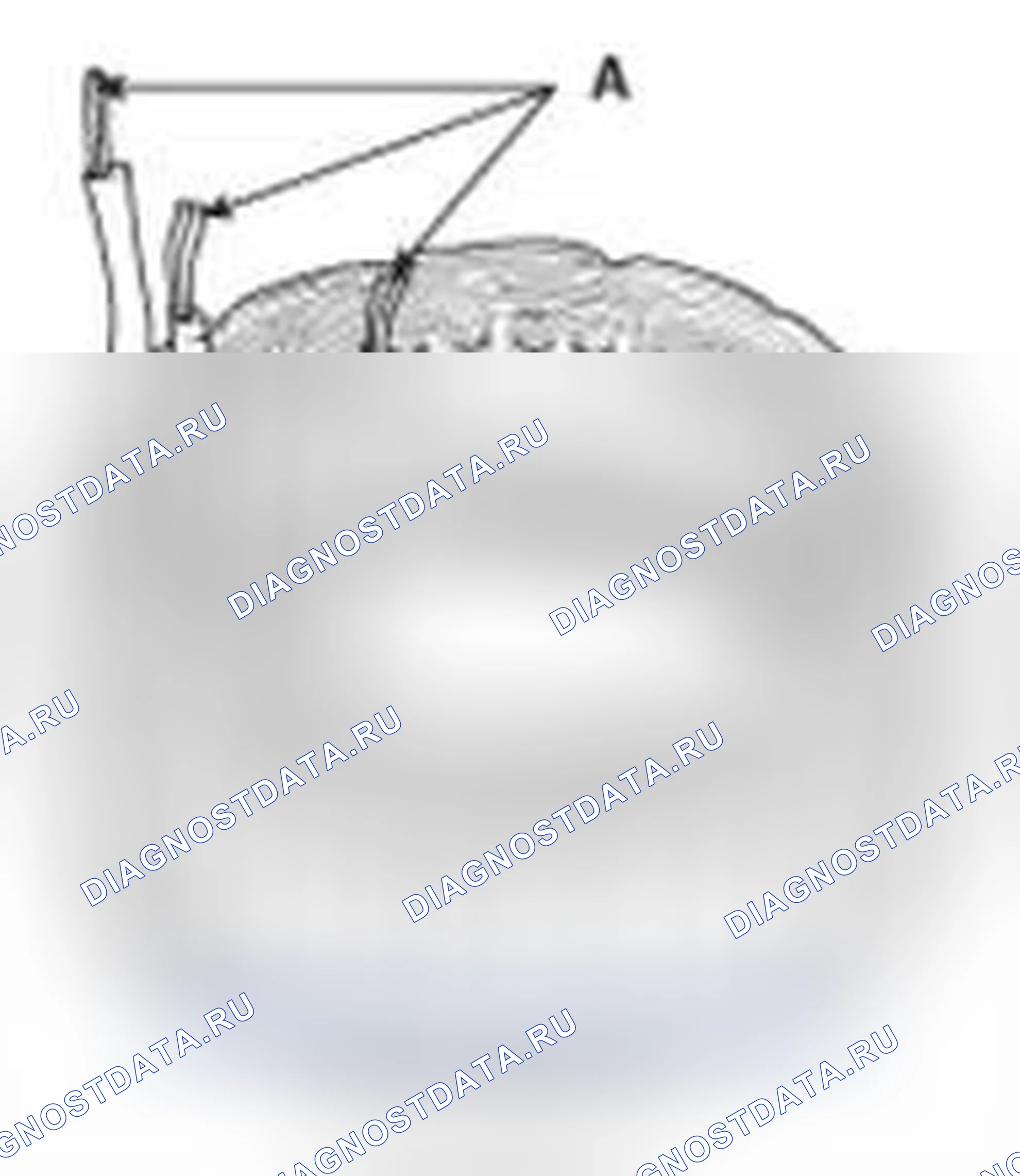 Рис. 22: Проверка статора. Hyundai Elantra V